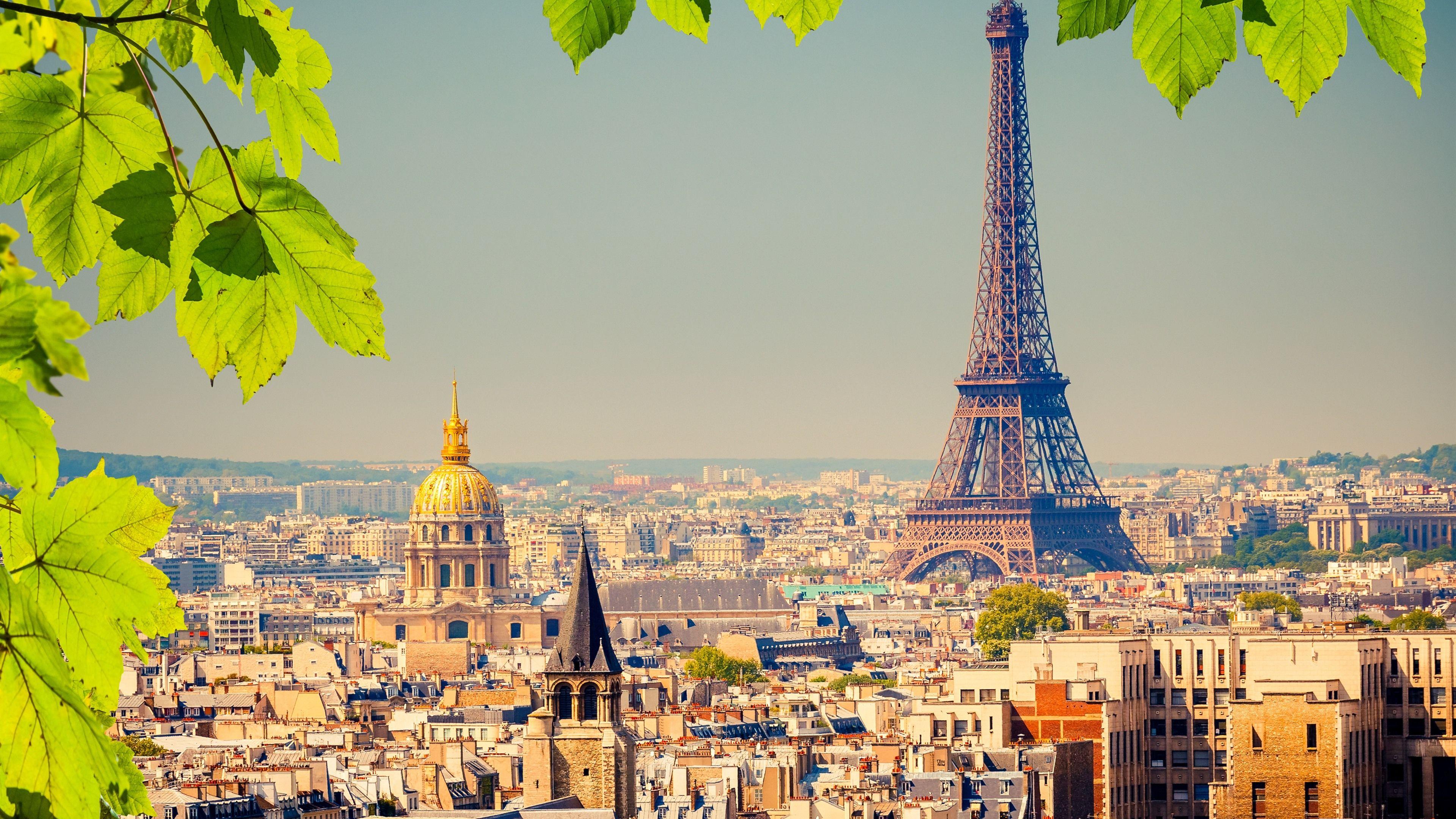 3840x2160 Hình nền tháp Eiffel, Thành phố, những chiếc lá xanh, Paris, Pháp