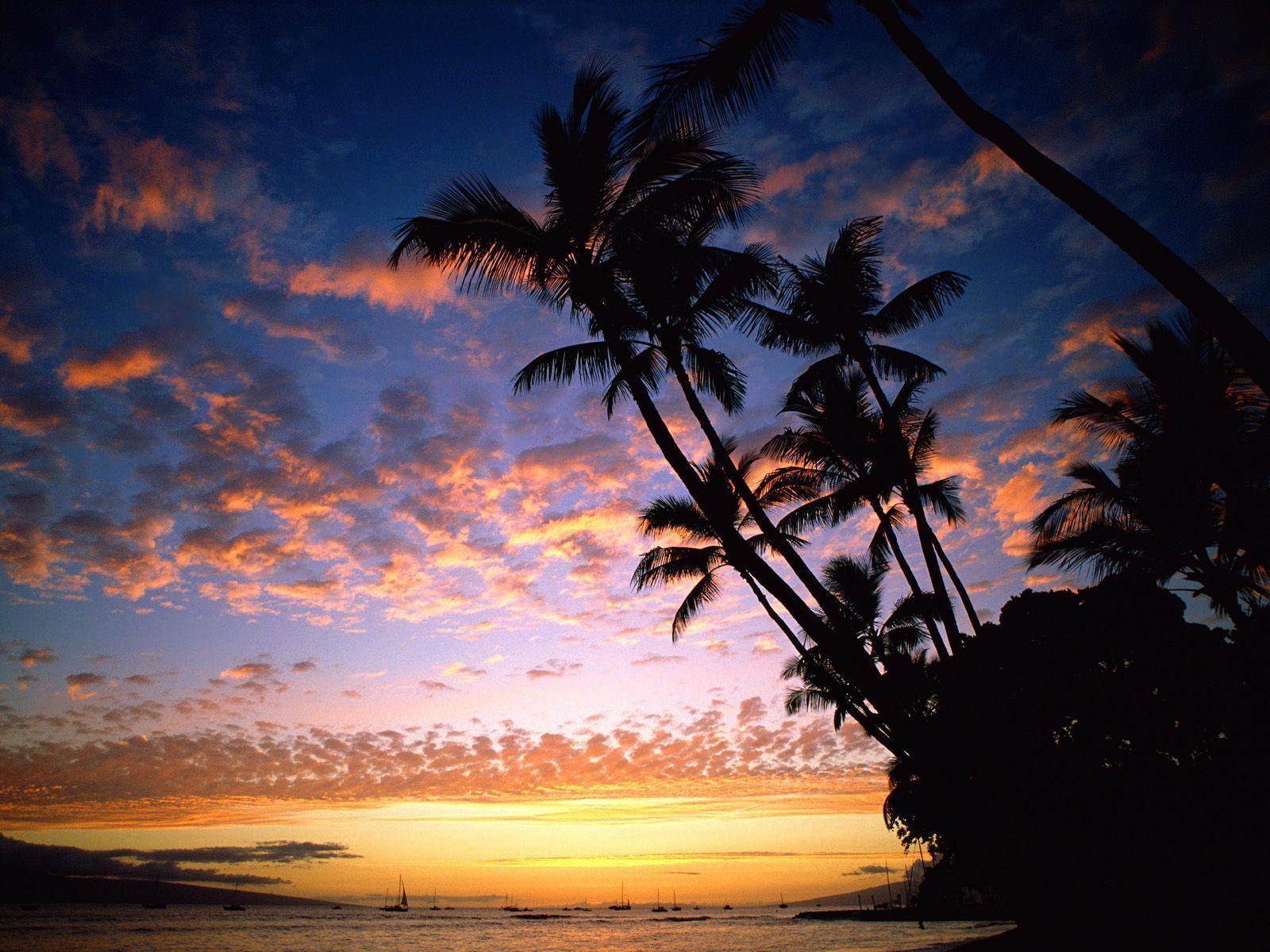 1600x1200 Paradise Morning Wallpaper
