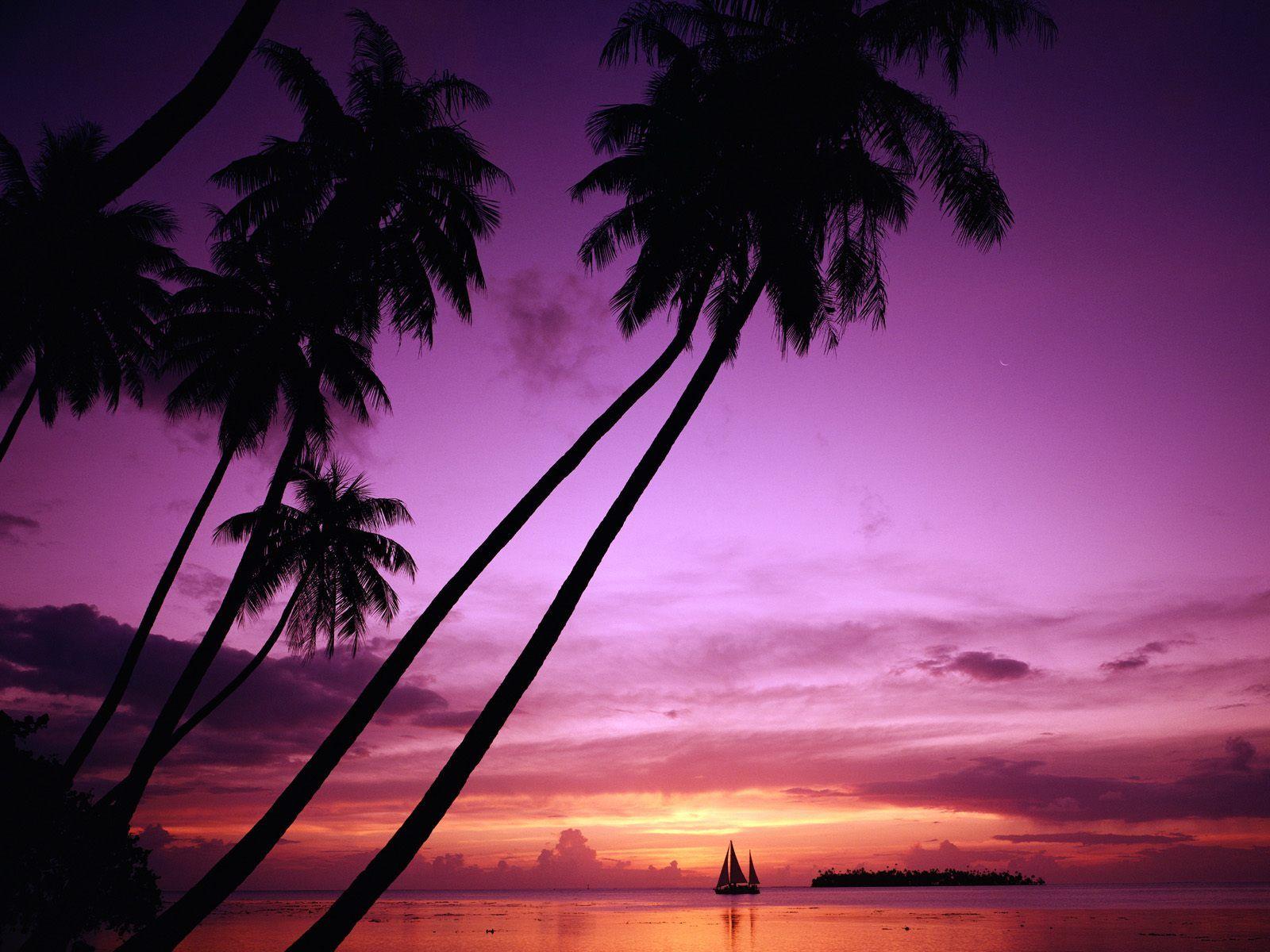 1600x1200 Tropical Paradise Background. You are in: Picture