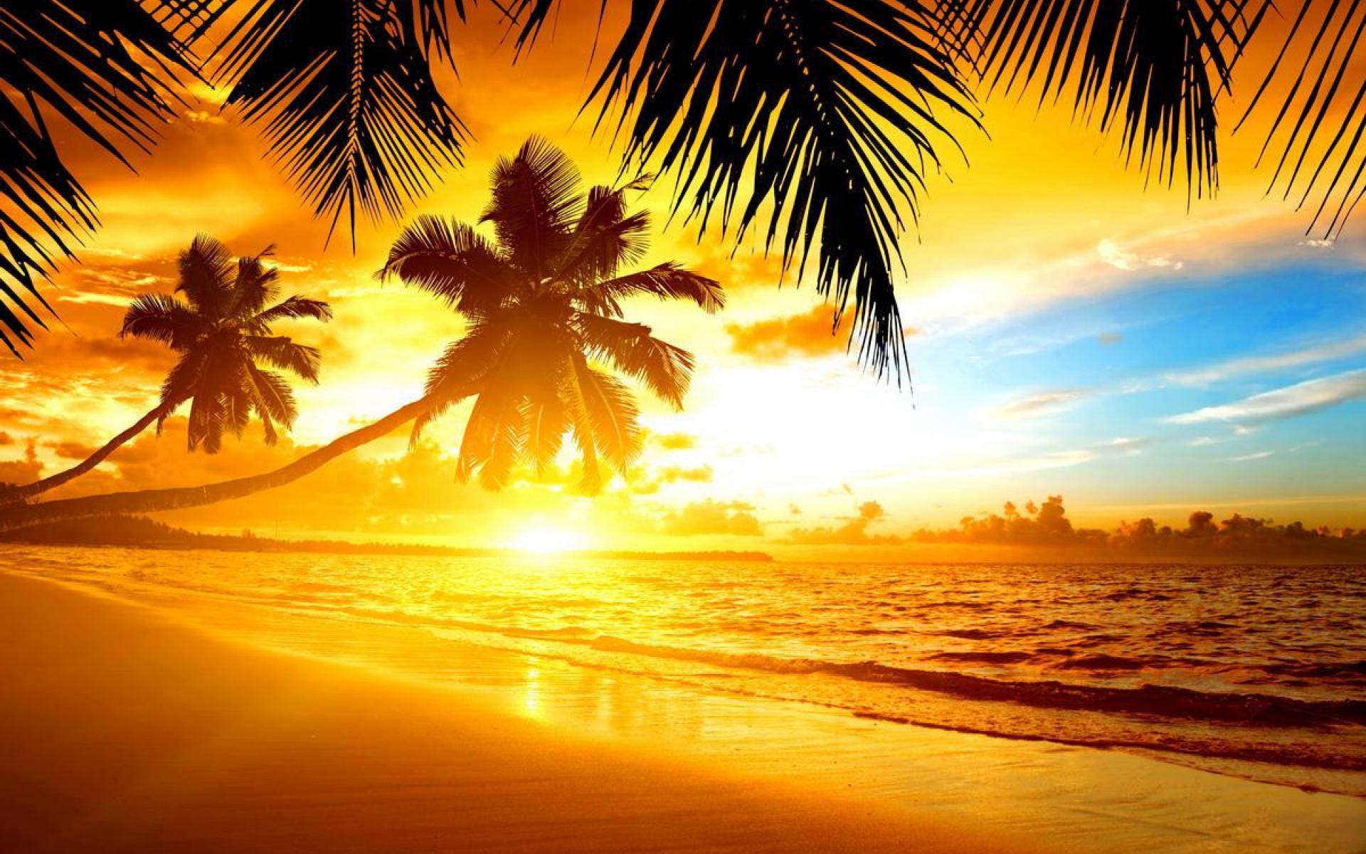 Beach Paradise Sunset Wallpapers Top Free Beach Paradise Sunset