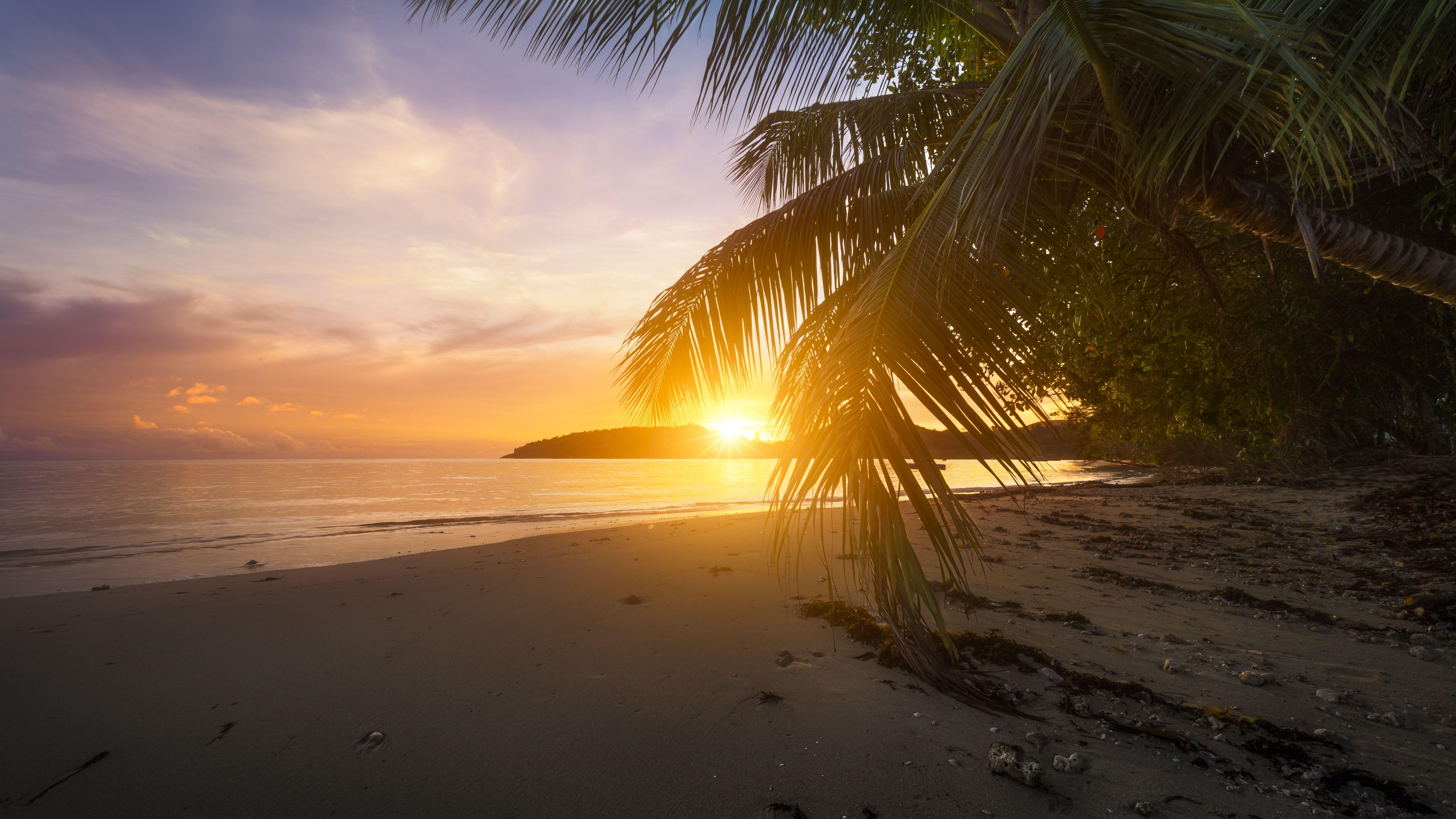 Tropical Beach Sunset 8k Ultra Hd Wallpaper Background Image 7680x4320 Images 6367