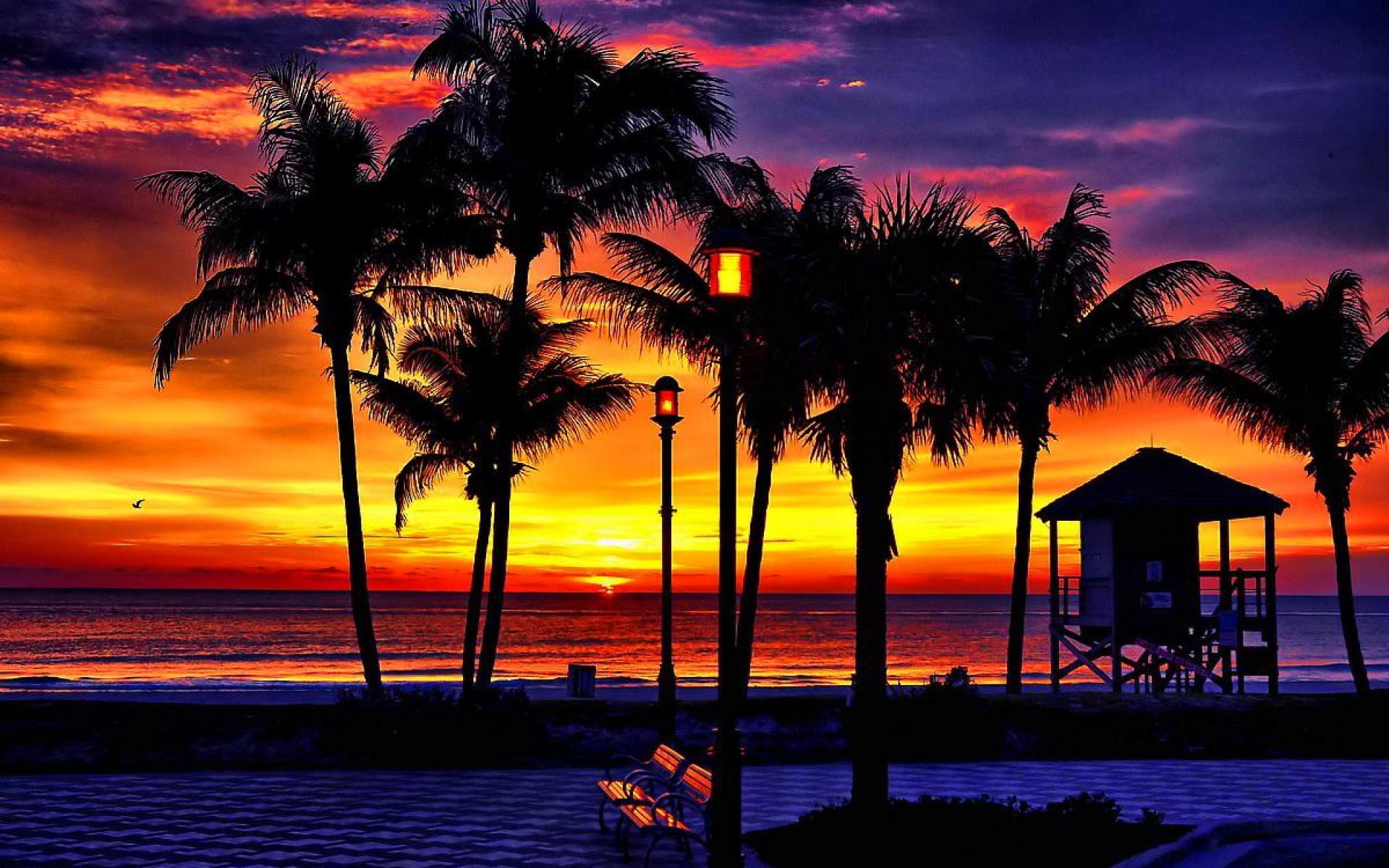 1920x1200 Cool Tropical Sunset Wallpaper For Pc & Mac, Tablet