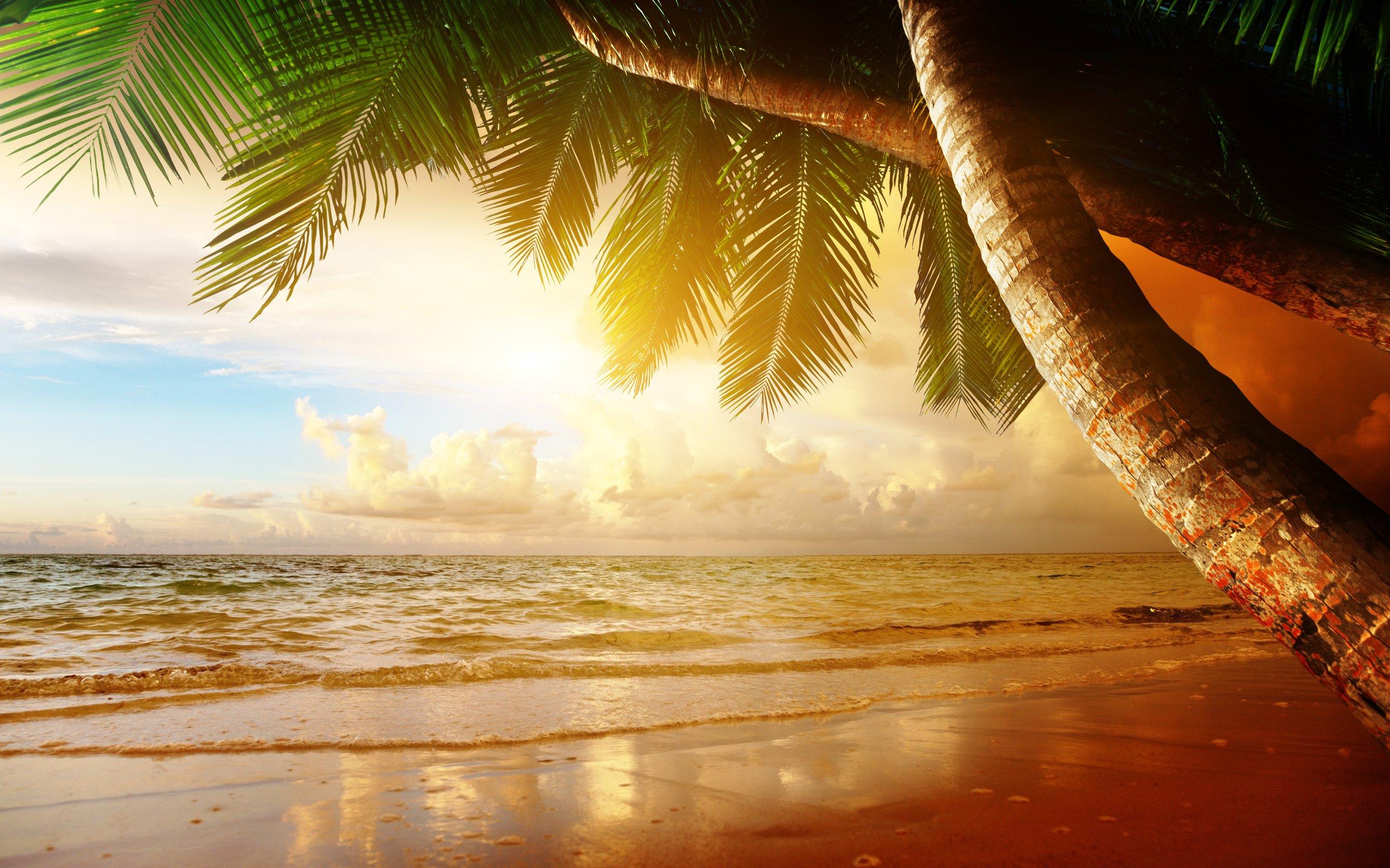 2560x1600 Back ≫ Wallpaper For ≫ Paradise Sunset Wallpaper