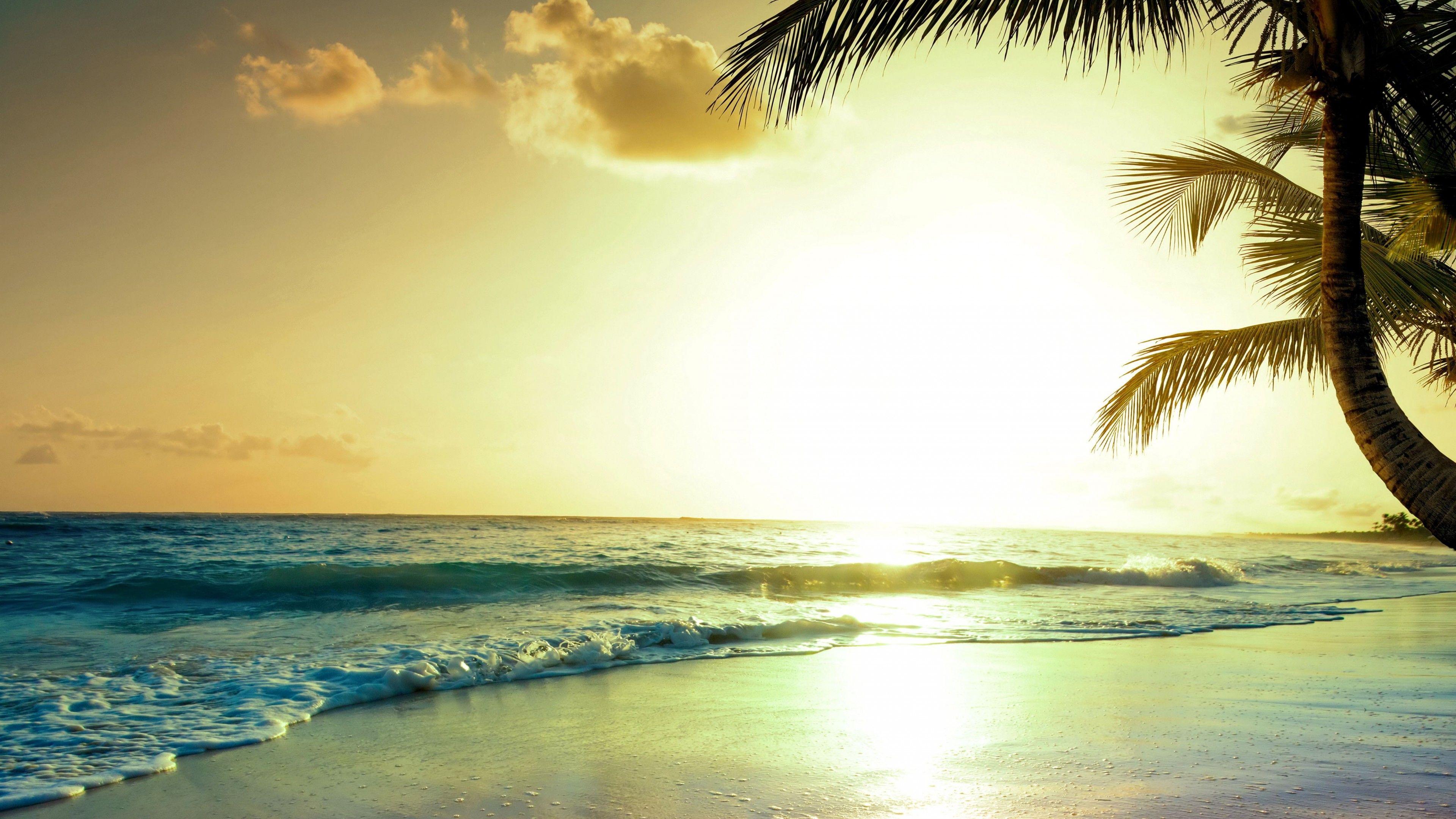 3840x2160 Wallpaper tropical beach, 5k, 4k wallpaper, paradise, sunset