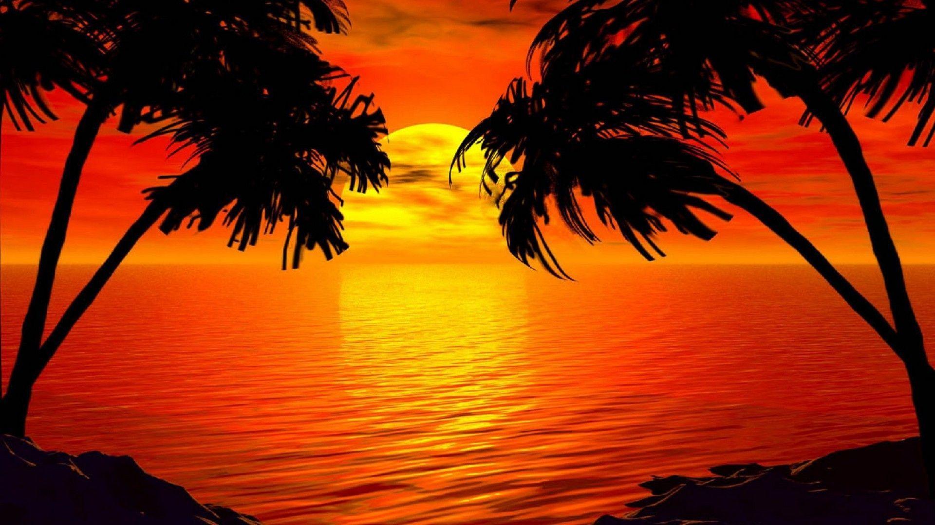 1920x1080 Background Tumblr 1920x1080 Red Trees