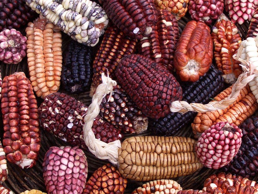 1024x768 Cool Culture Facts You Didn't Know About Mexico