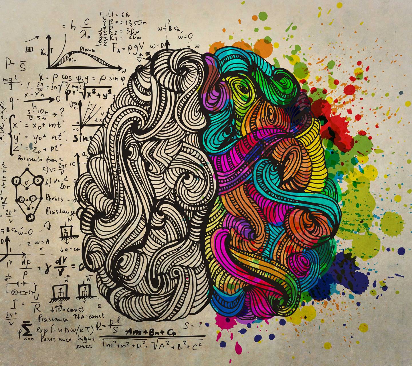 1440x1280 Left Right Brain Wallpaper