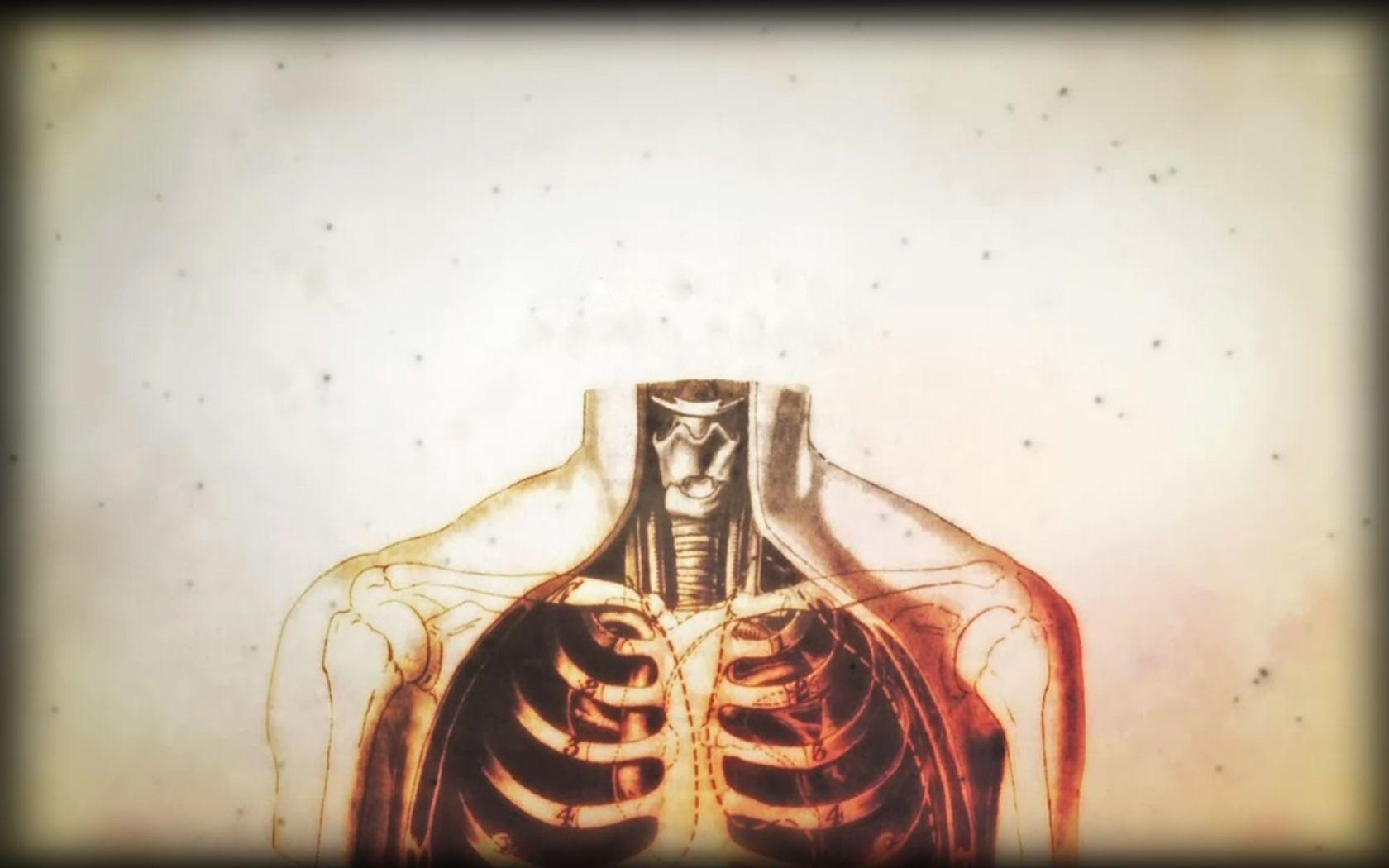 1680x1050 Human Wallpaper. Human Skeleton