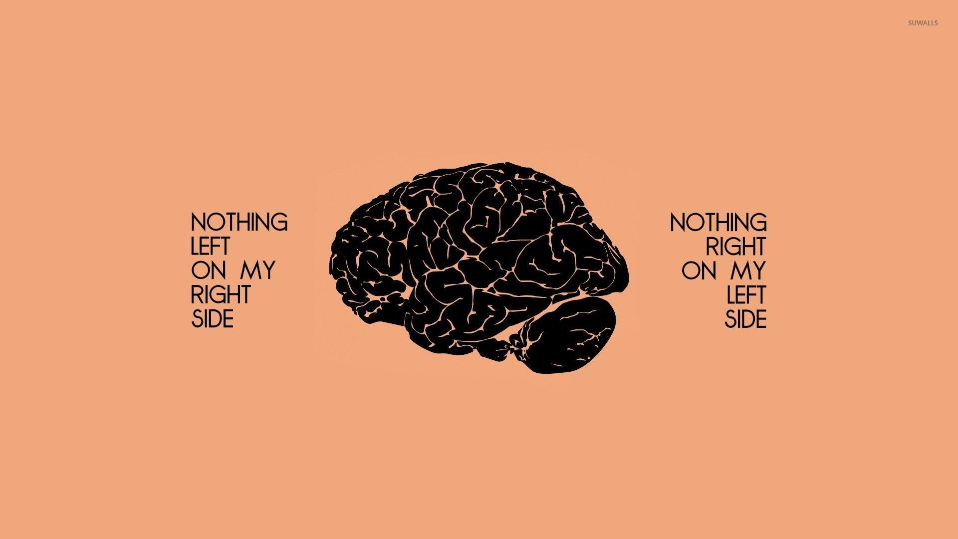1920x1080 Brain wallpaperDownload free beautiful background