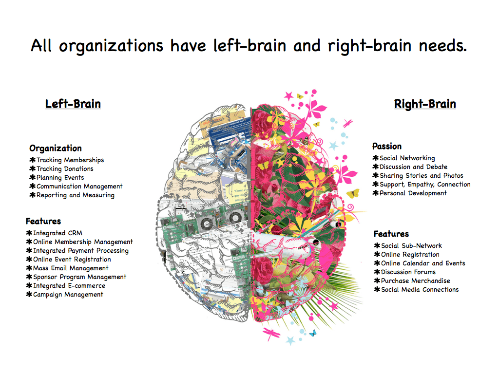 1024x768 Left Brain Right Brain Wallpaper Free Download