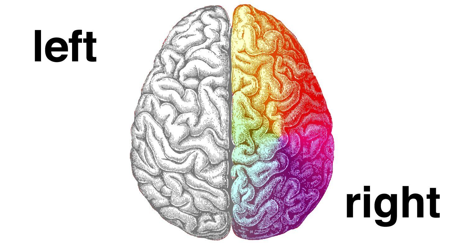1500x783 Right Brain Left Brain Clipart