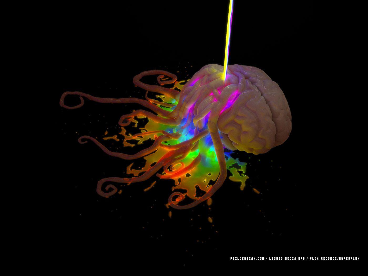 1400x1050 Pzs brain wallpaper in best resolutions quality HD