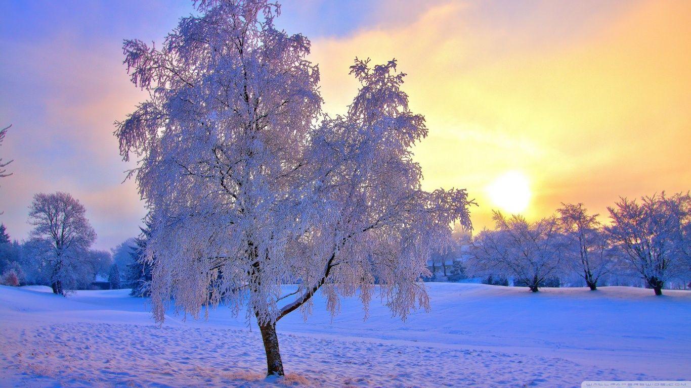 1366x768 Free Winter Sunset Wallpaper High Definition at Landscape