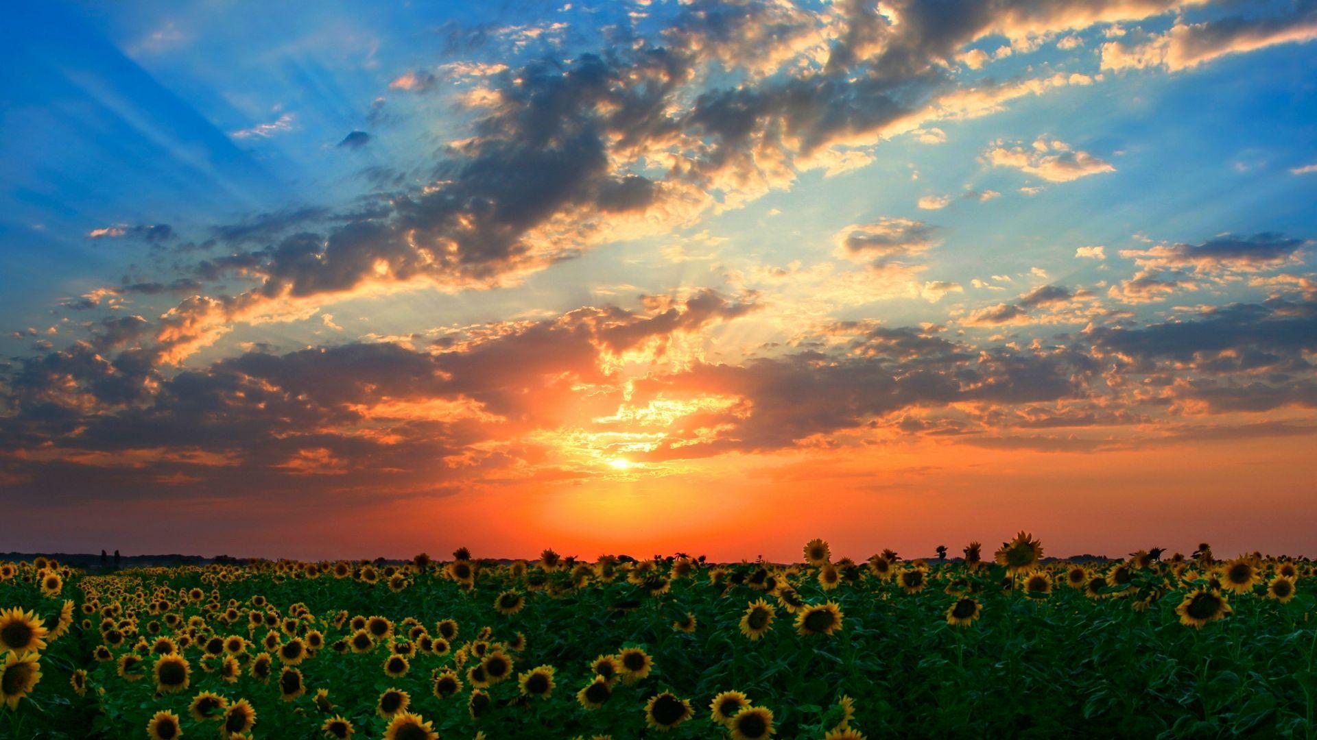 1920x1080 Red Sunset Desktop Background # 1920x1080