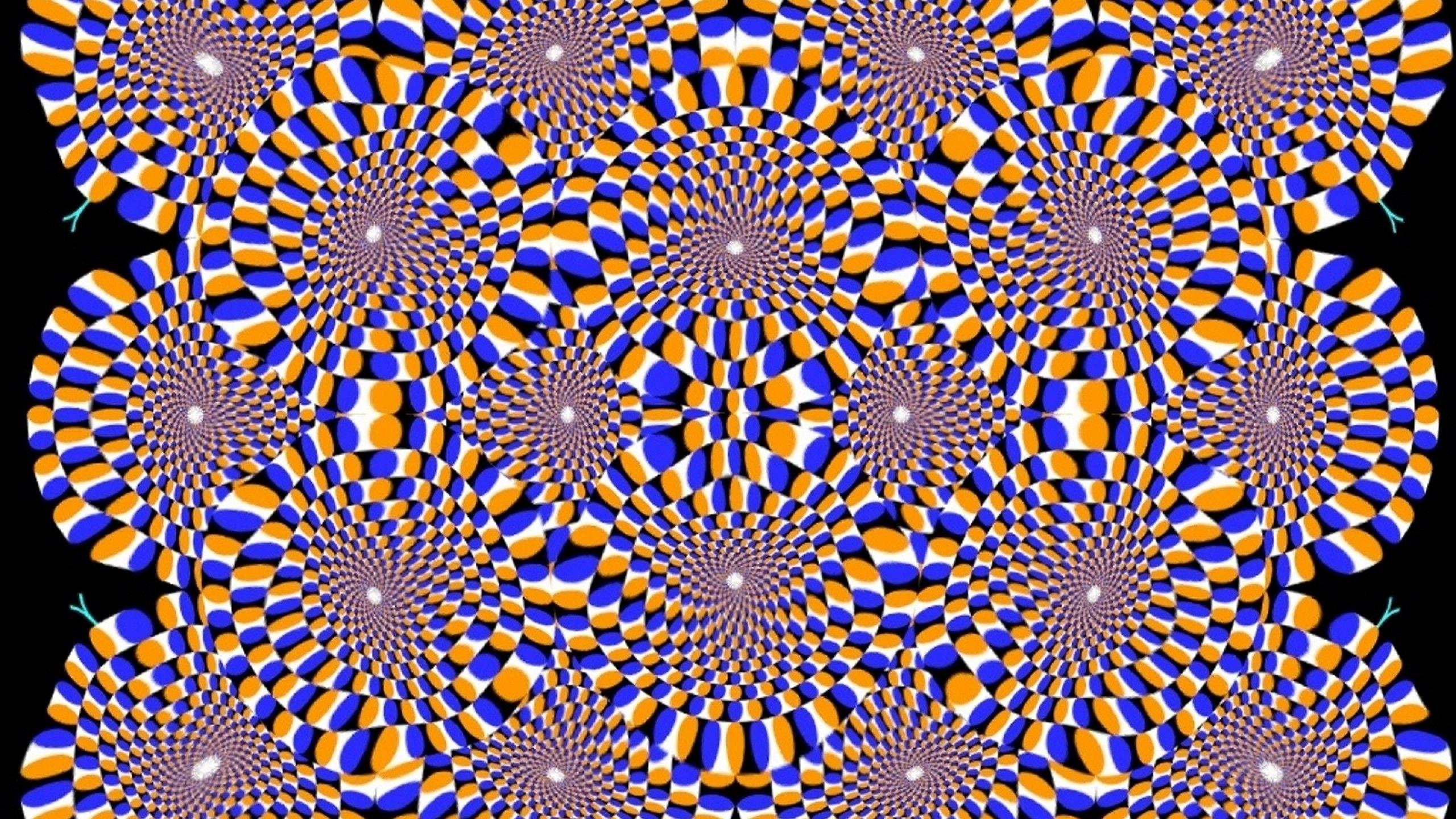 2560x1440 Optical Illusion wallpaperDownload free awesome full HD
