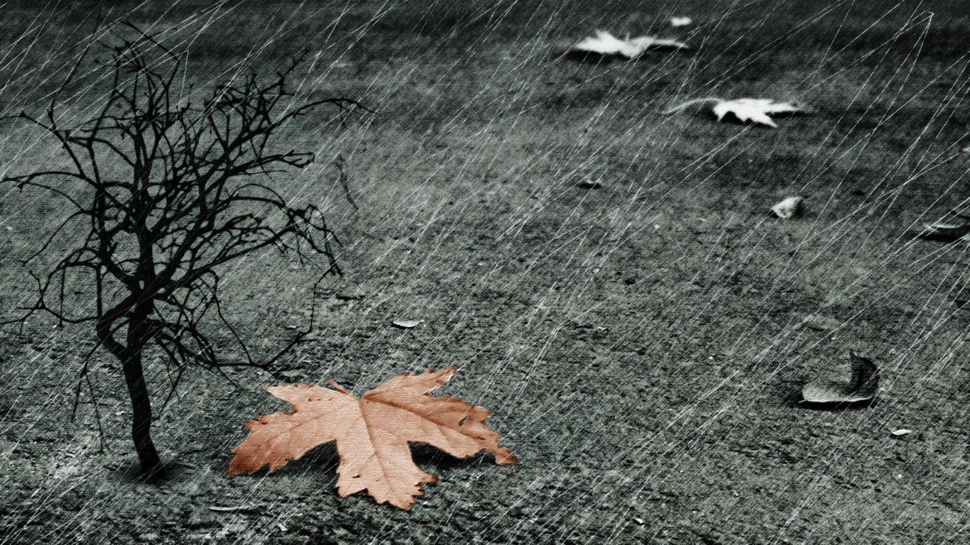 1366x768 3D Rain Wallpaper