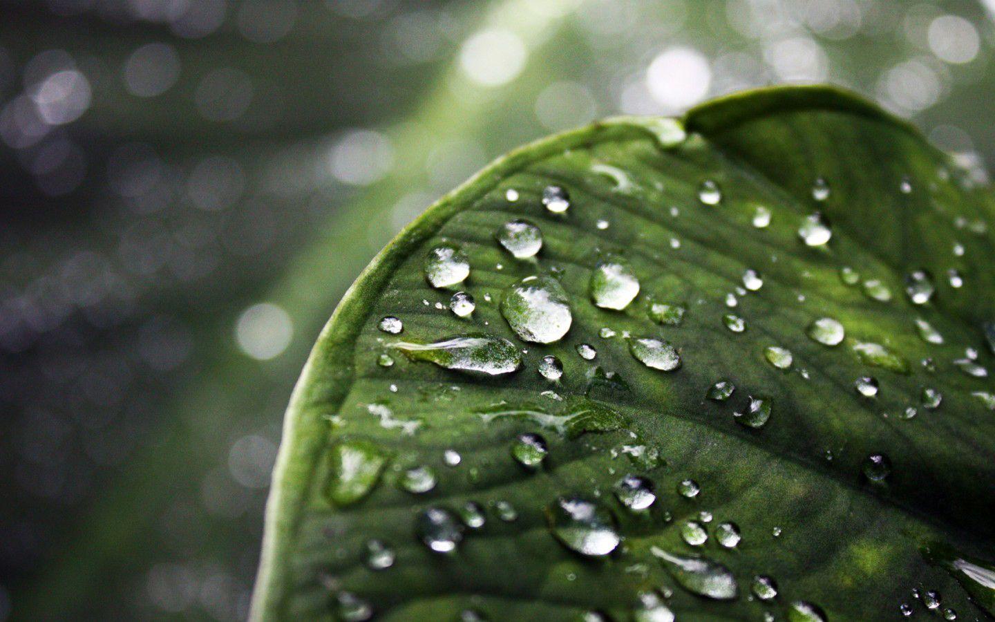 3d Rain Wallpaper For Android Image Num 7