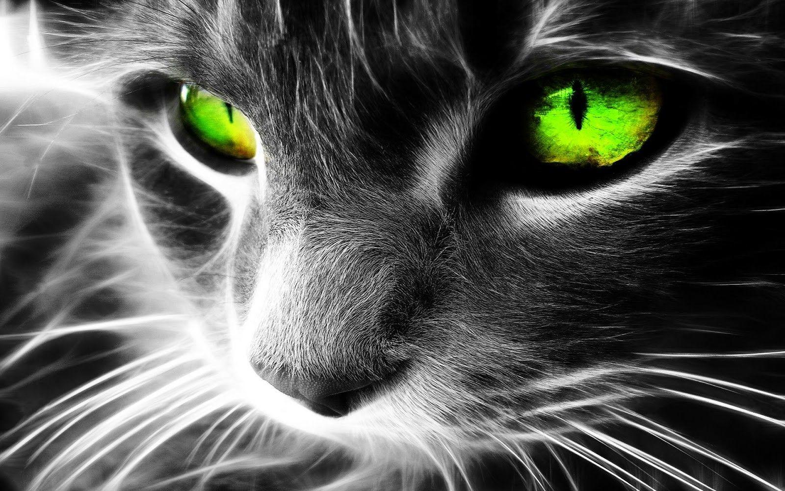 1600x1000 3D Cool Eye Wallpaper HD