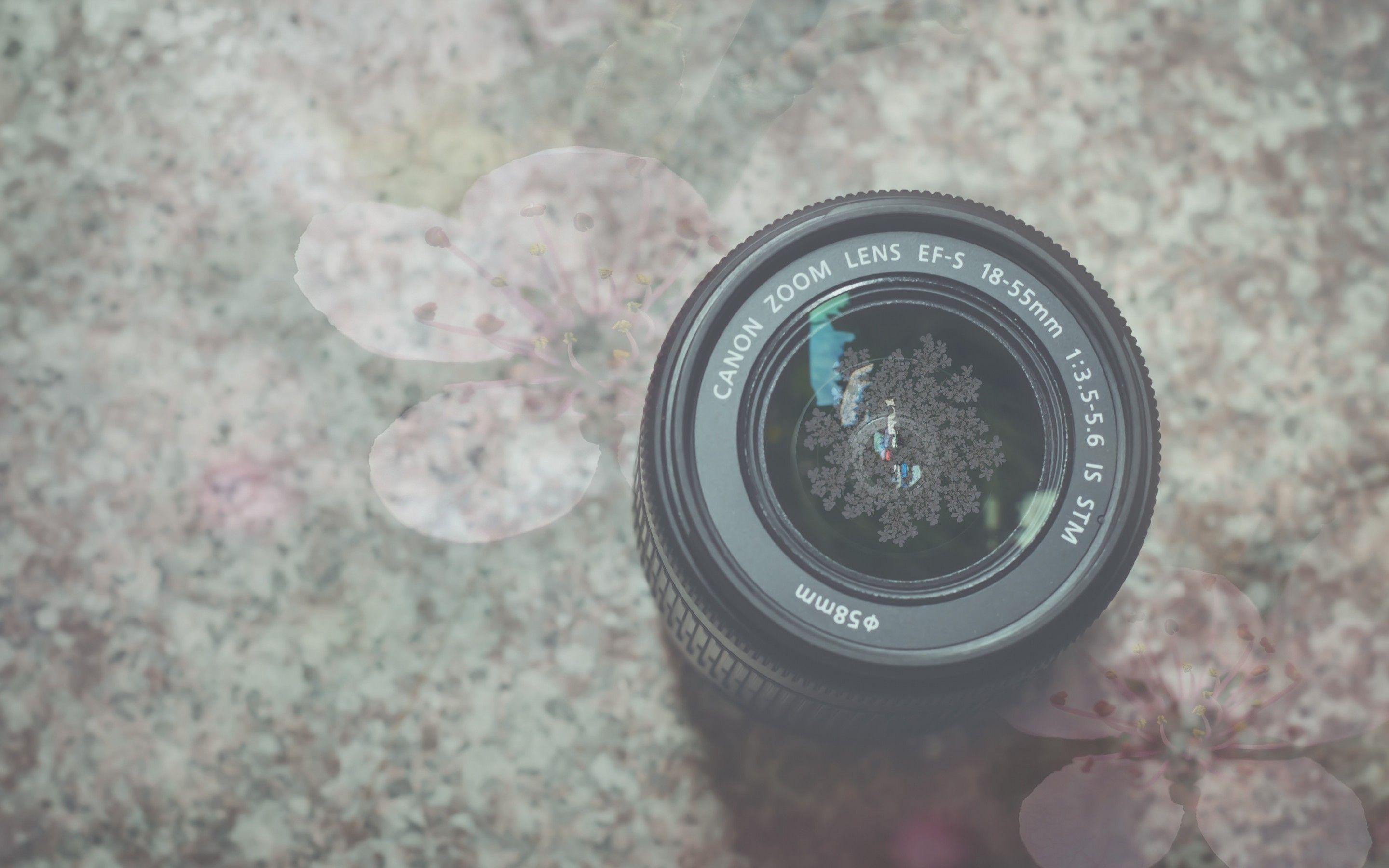 2880x1800 Download 2880x1800 Canon Zoom Lens Ef S, Flower, Camera
