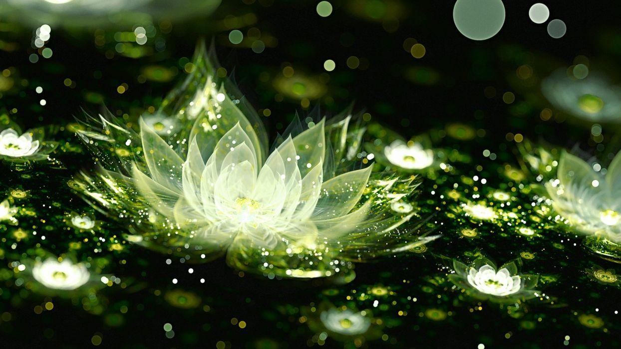 1244x700 3D Graphics Water Lily Wallpaperx1080