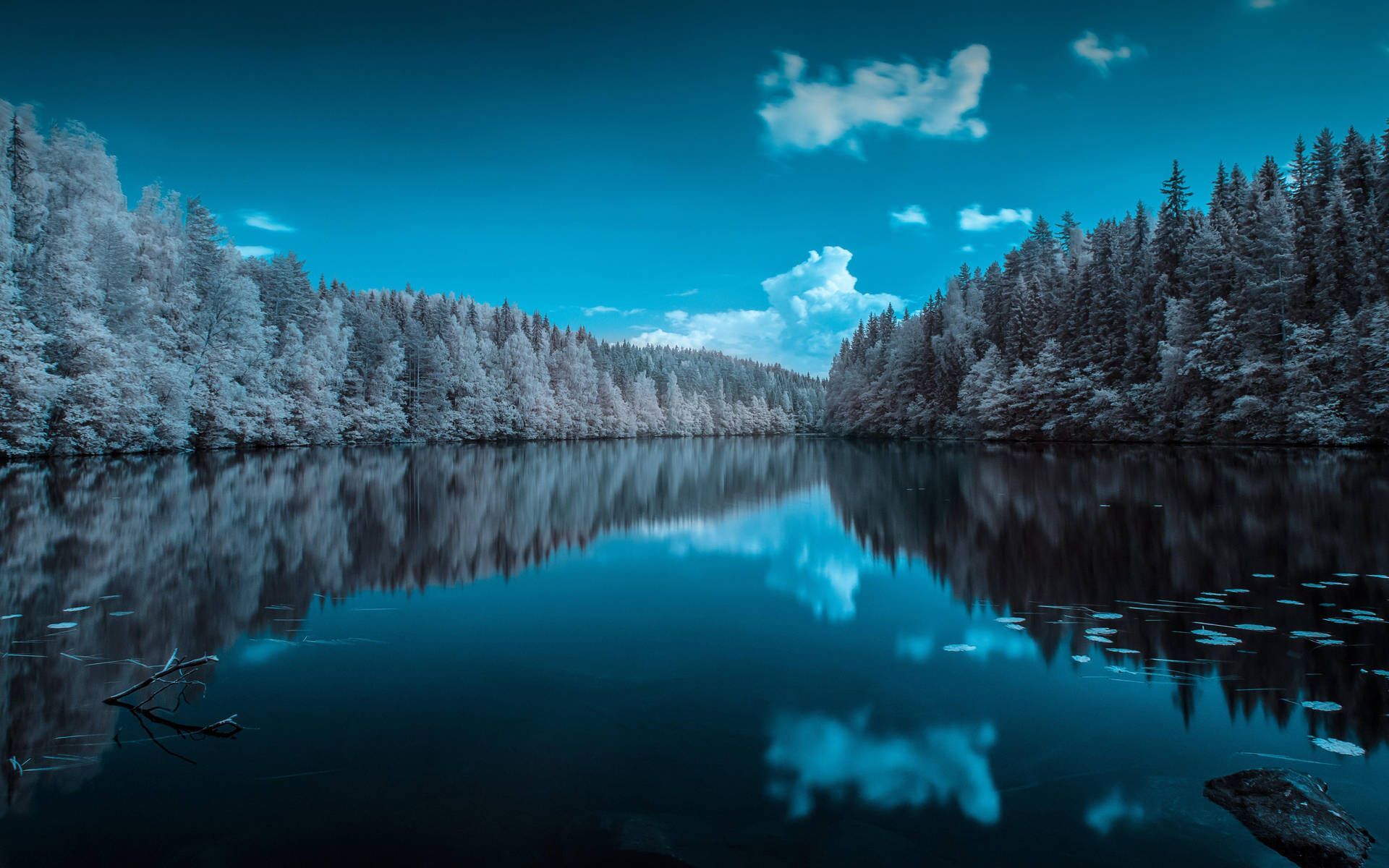 1920x1200 Forest Lake In Finland Wallpaper