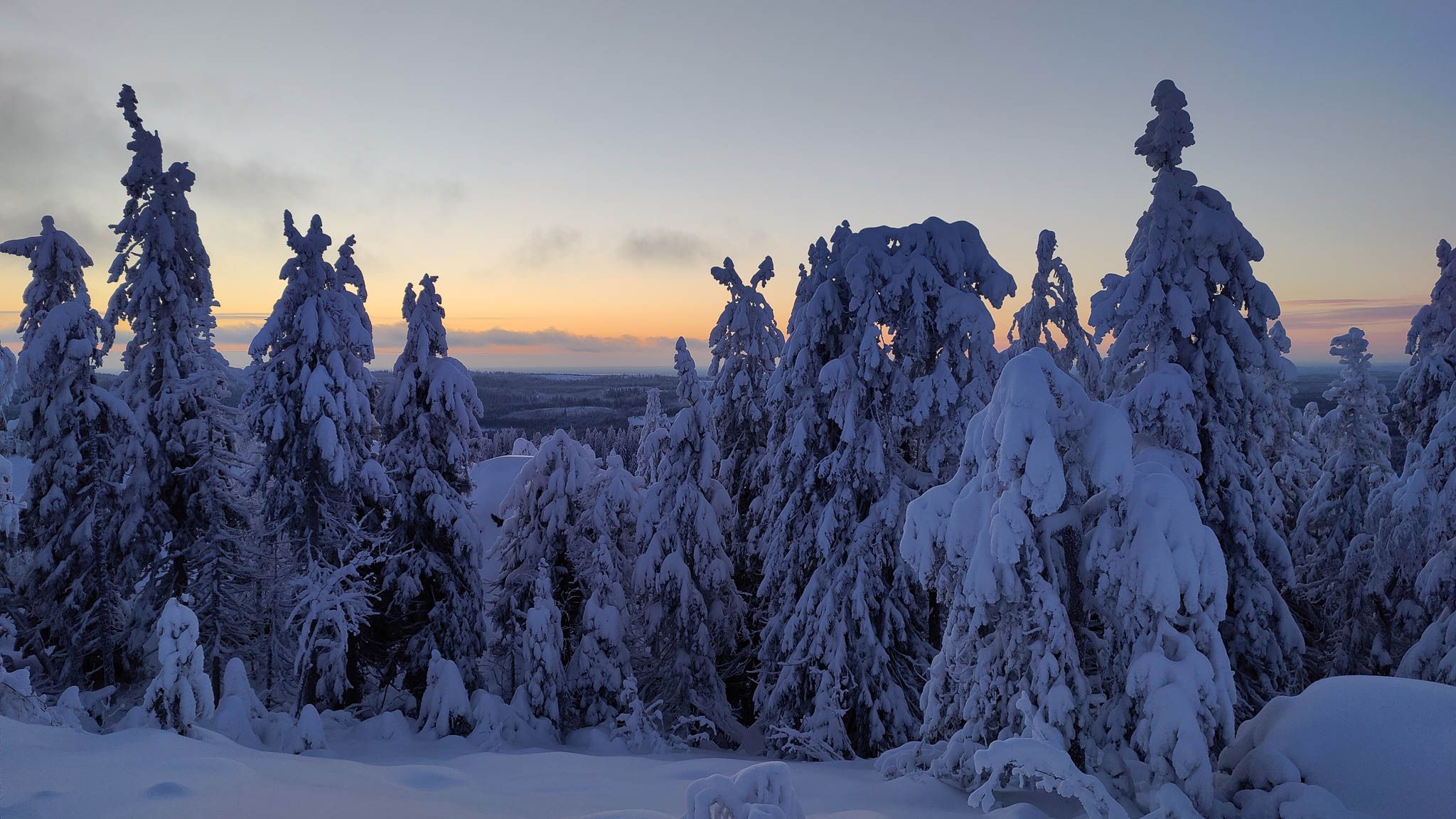 2048x1152 magical world of Koli's snowy giants