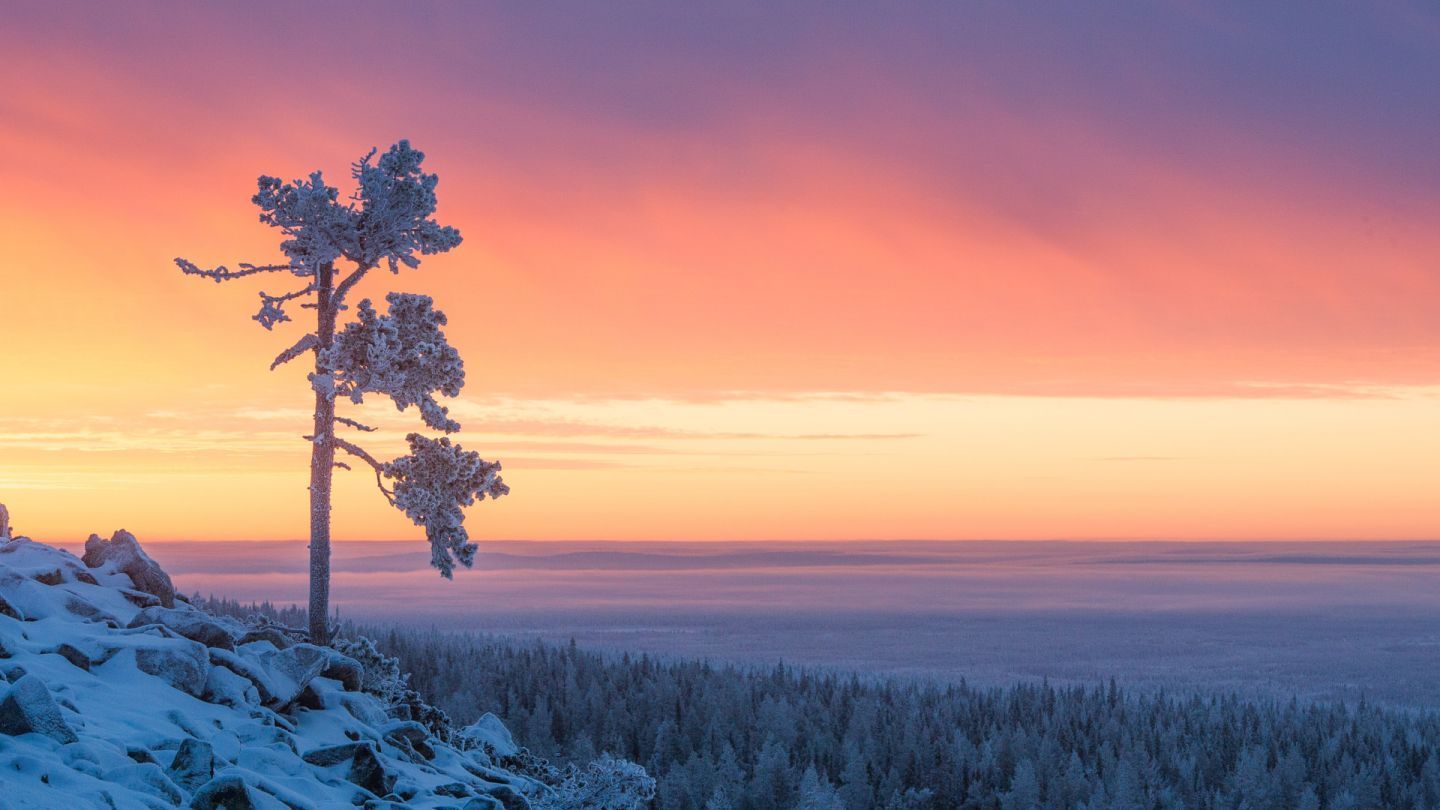 1440x810 Visit Finnish Lapland