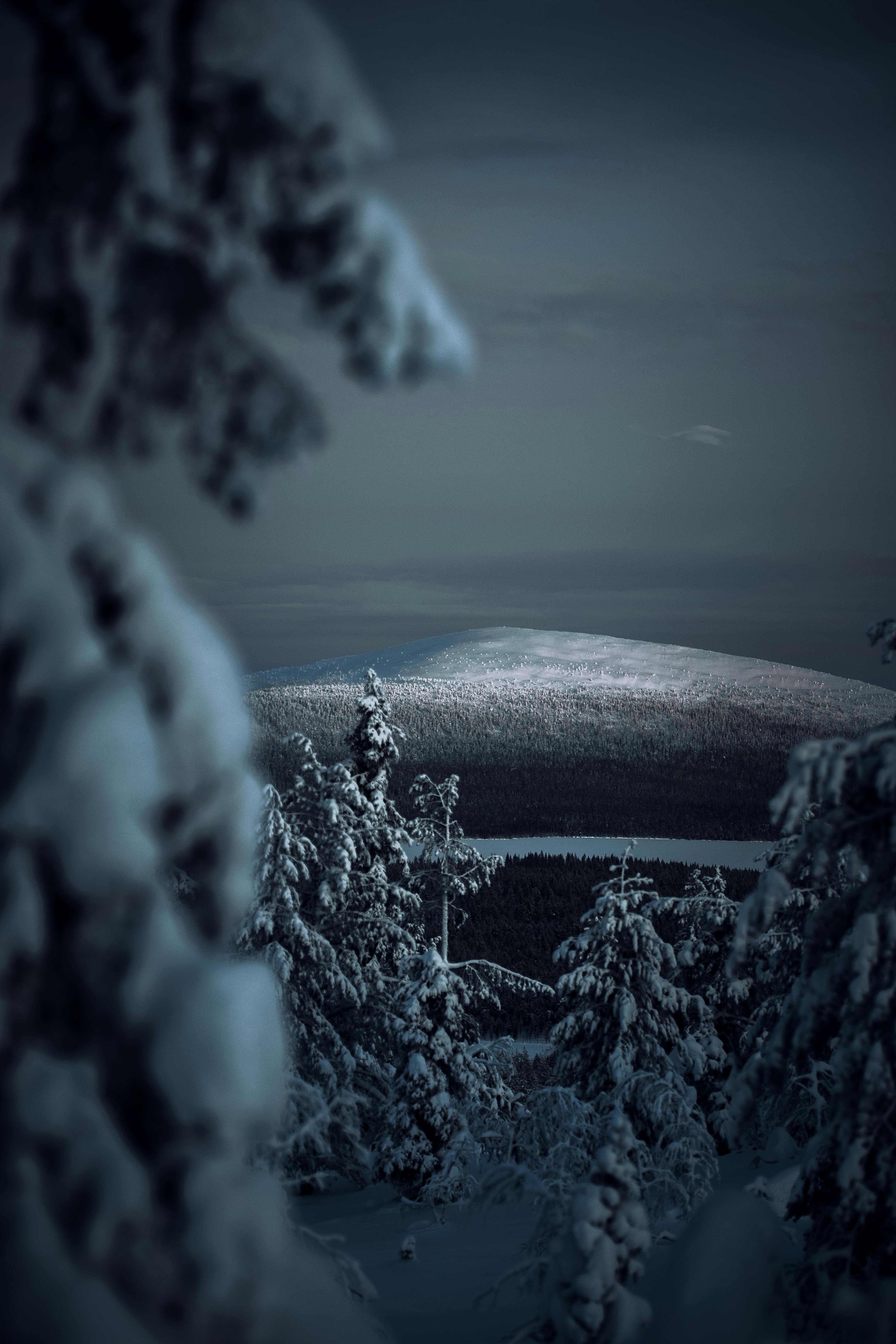 3959x5938 Lapland Photo, Download The BEST Free