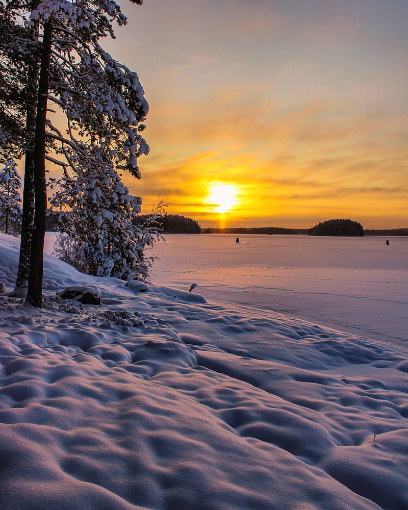 800x1000 Winter, finland, frost, january, nature