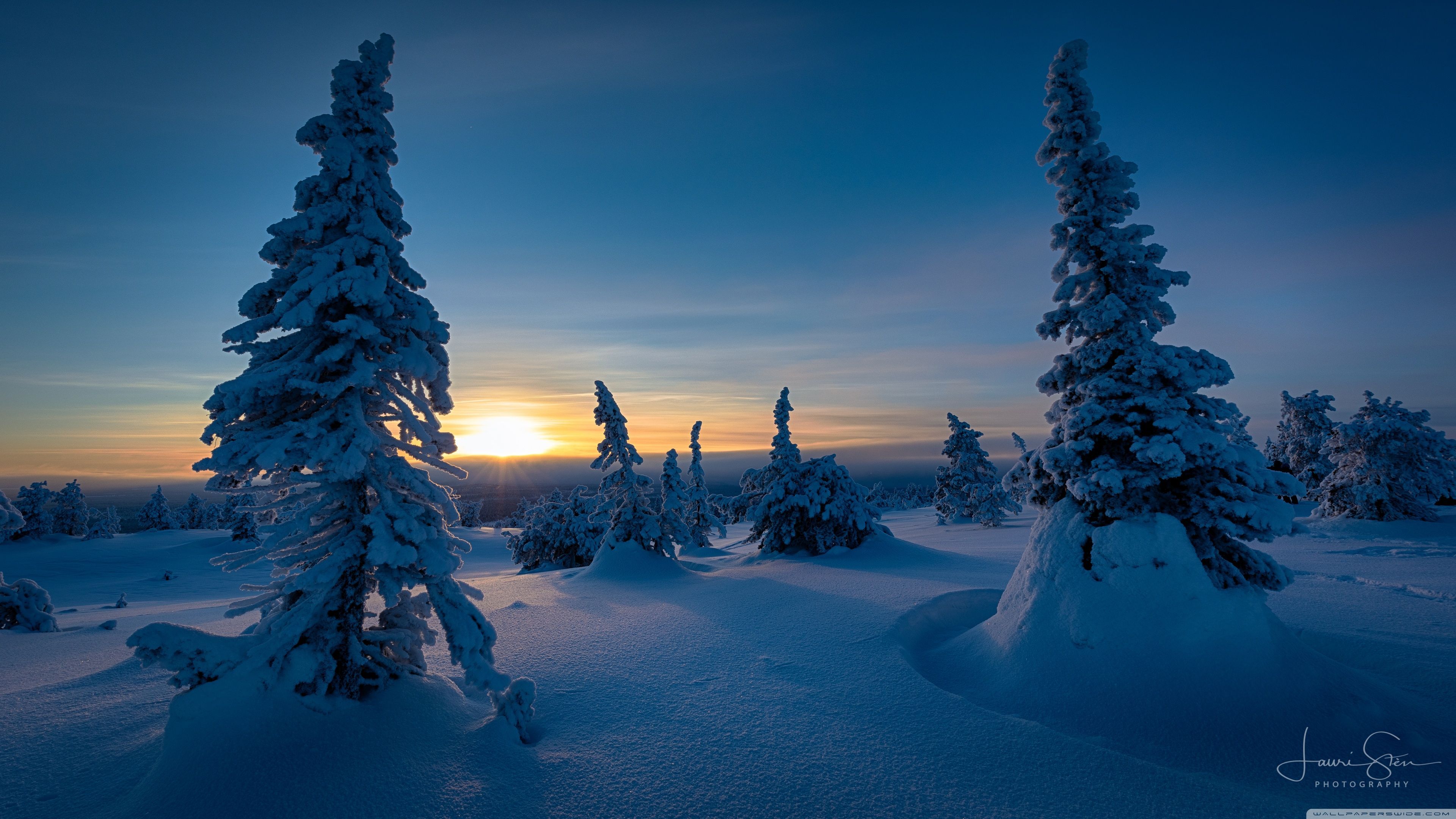 3840x2160 Sunset, Riisitunturi, Trees, Winter
