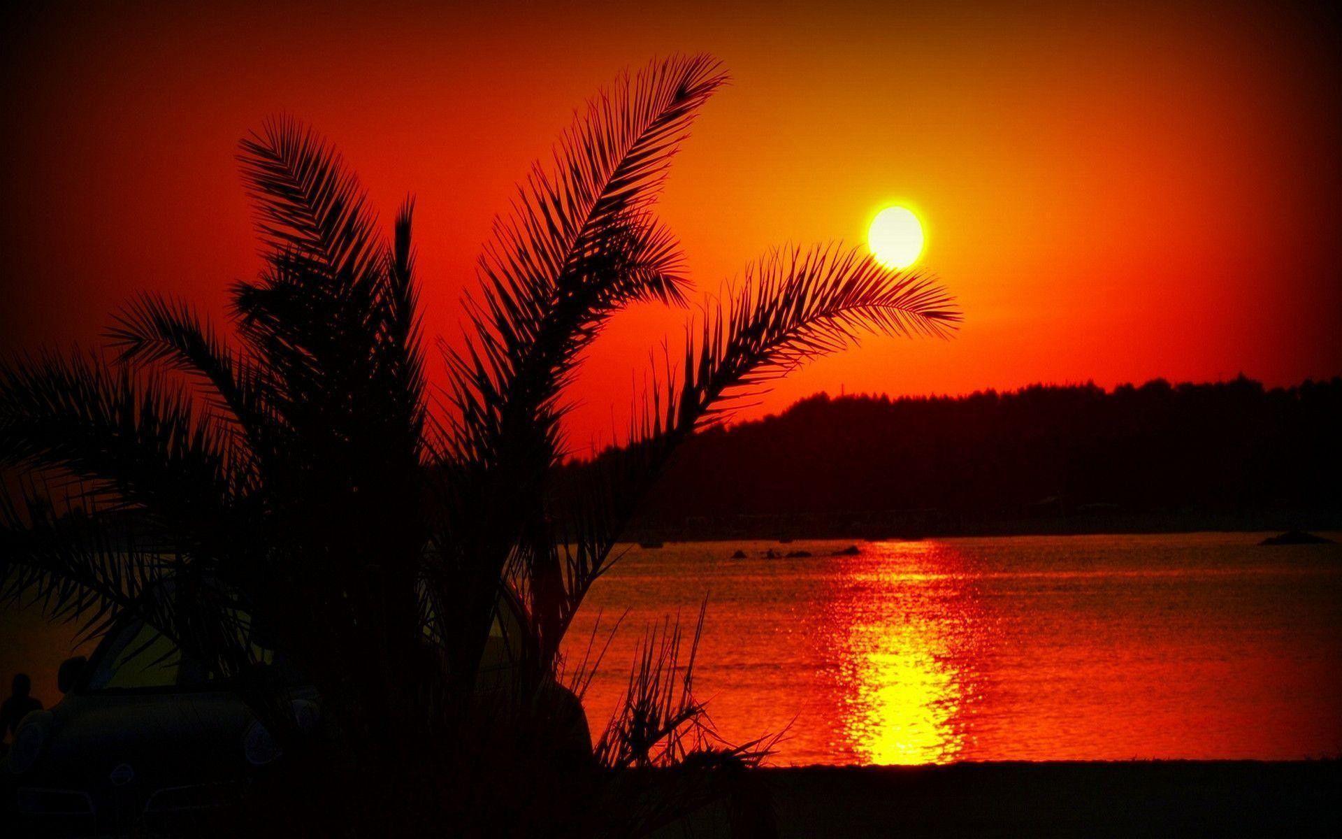 1920x1200 Summer Sunset Wallpaper