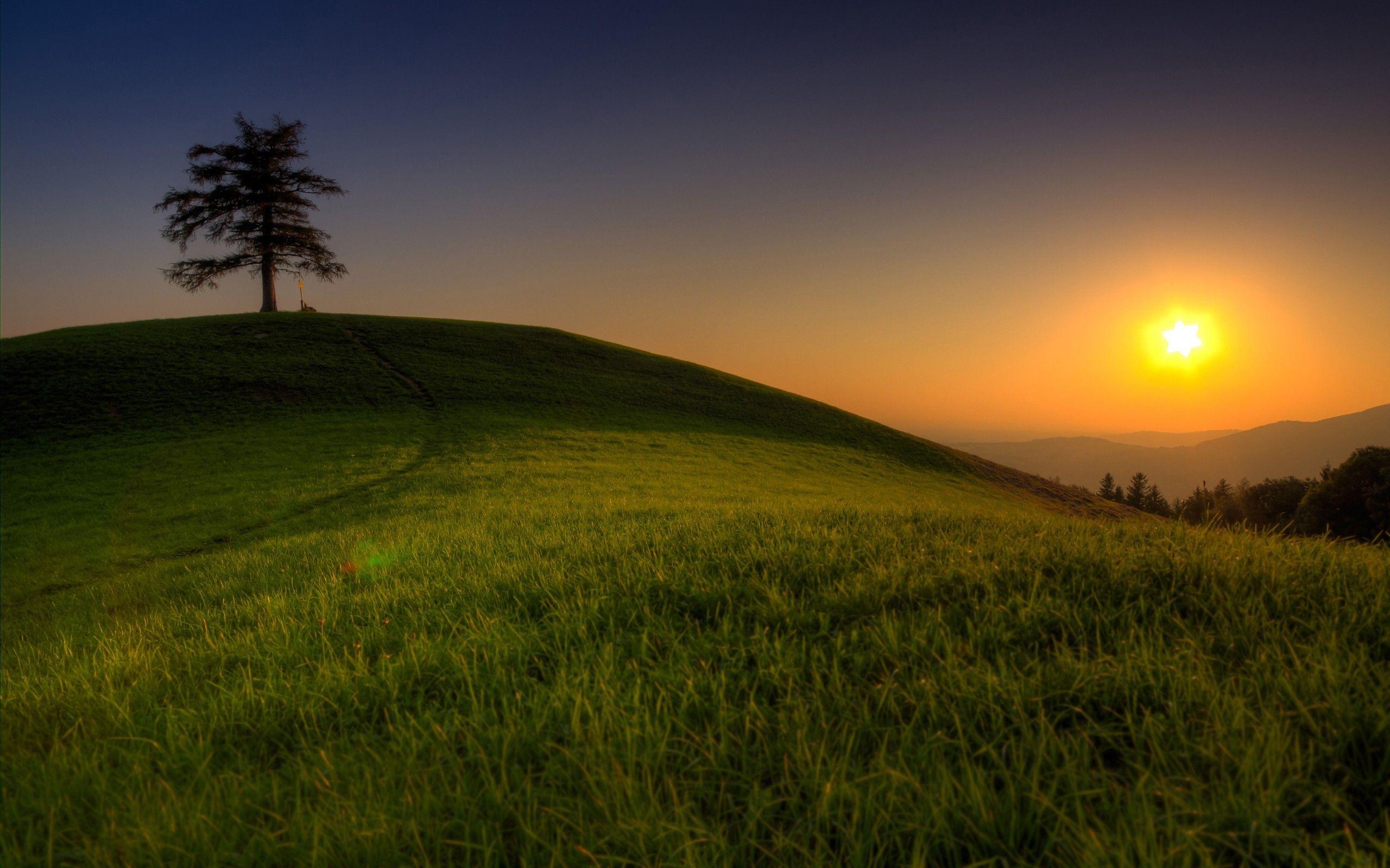 garden-sunset-wallpapers-top-free-garden-sunset-backgrounds