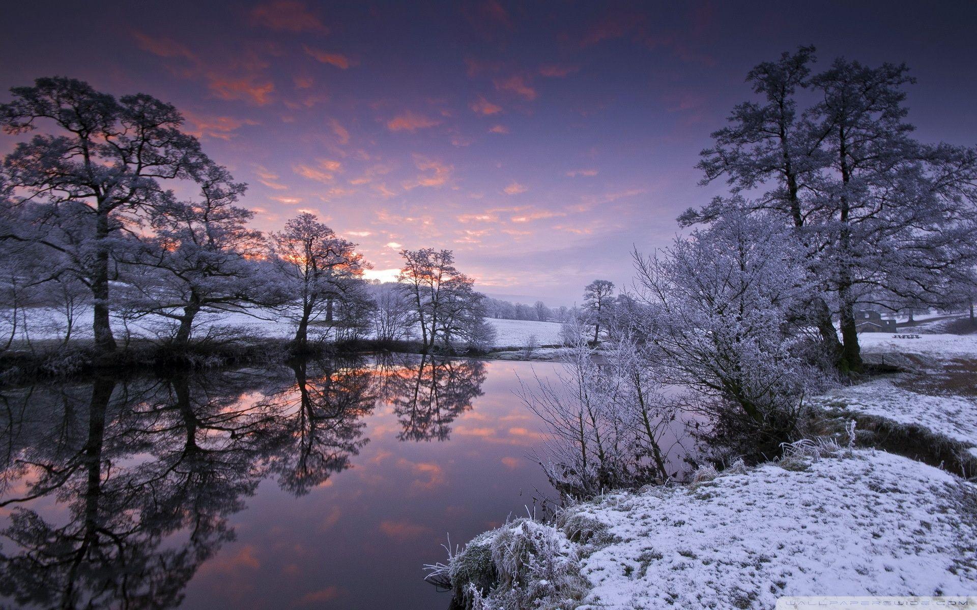 1920x1200 River Winter Evening Trees ❤ 4K HD Desktop Wallpaper for 4K