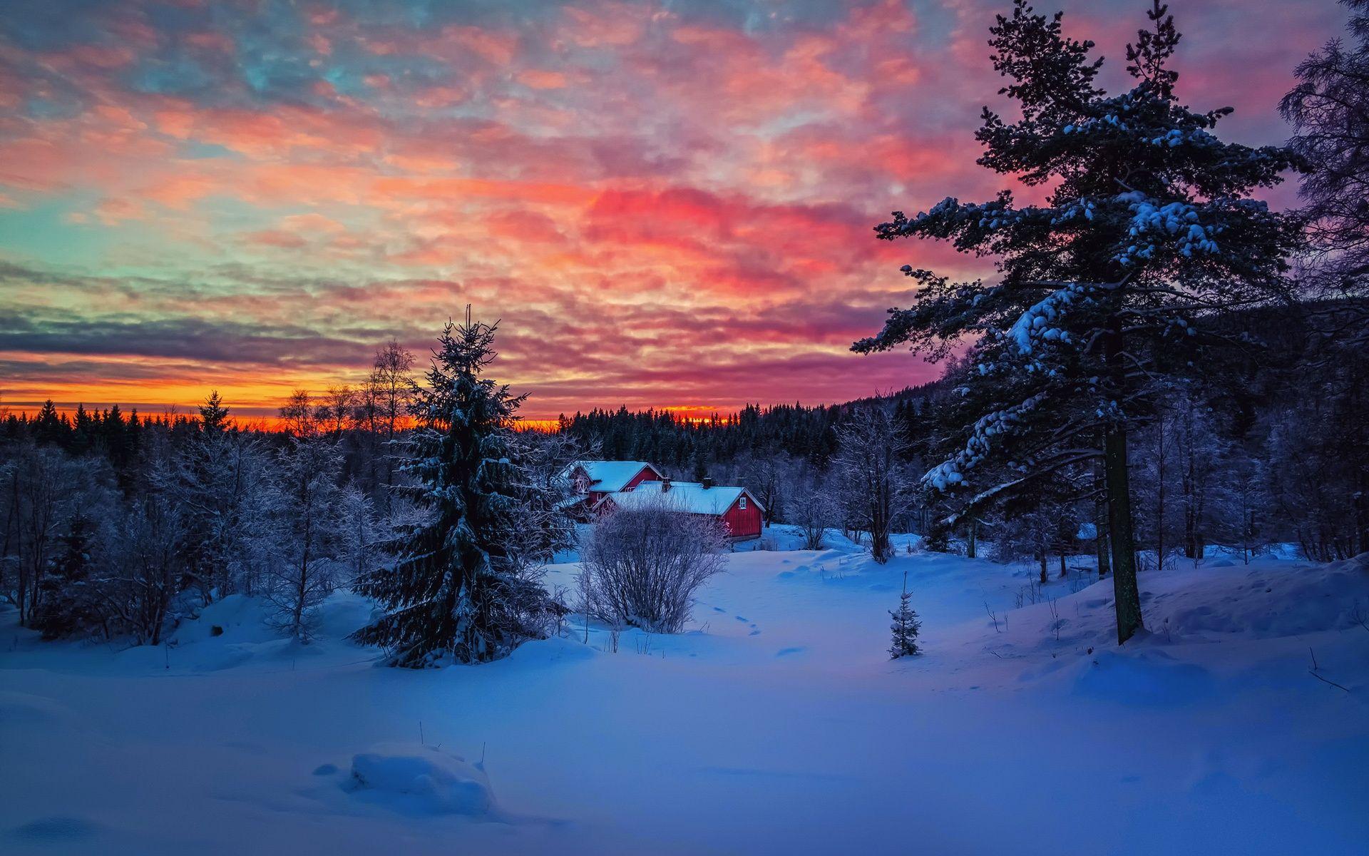 1920x1200 Wallpaper Winter evening sunset, sky, clouds, snow, forest