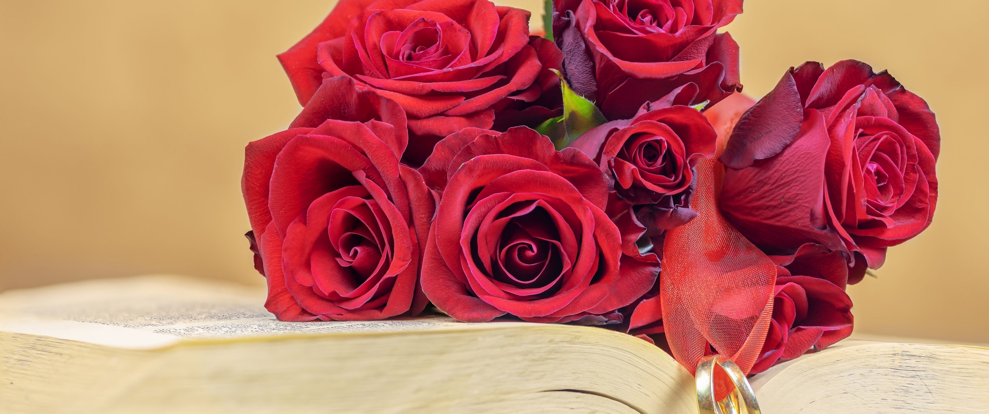 3440x1440 Red Roses Wallpaper 4K, Wedding rings, Book