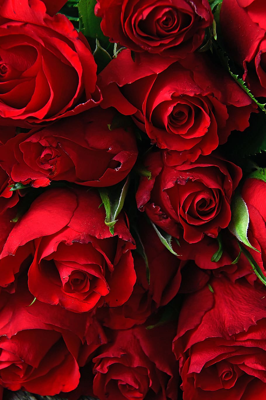 910x1369 Red wedding 1080P, 2K, 4K, 5K HD