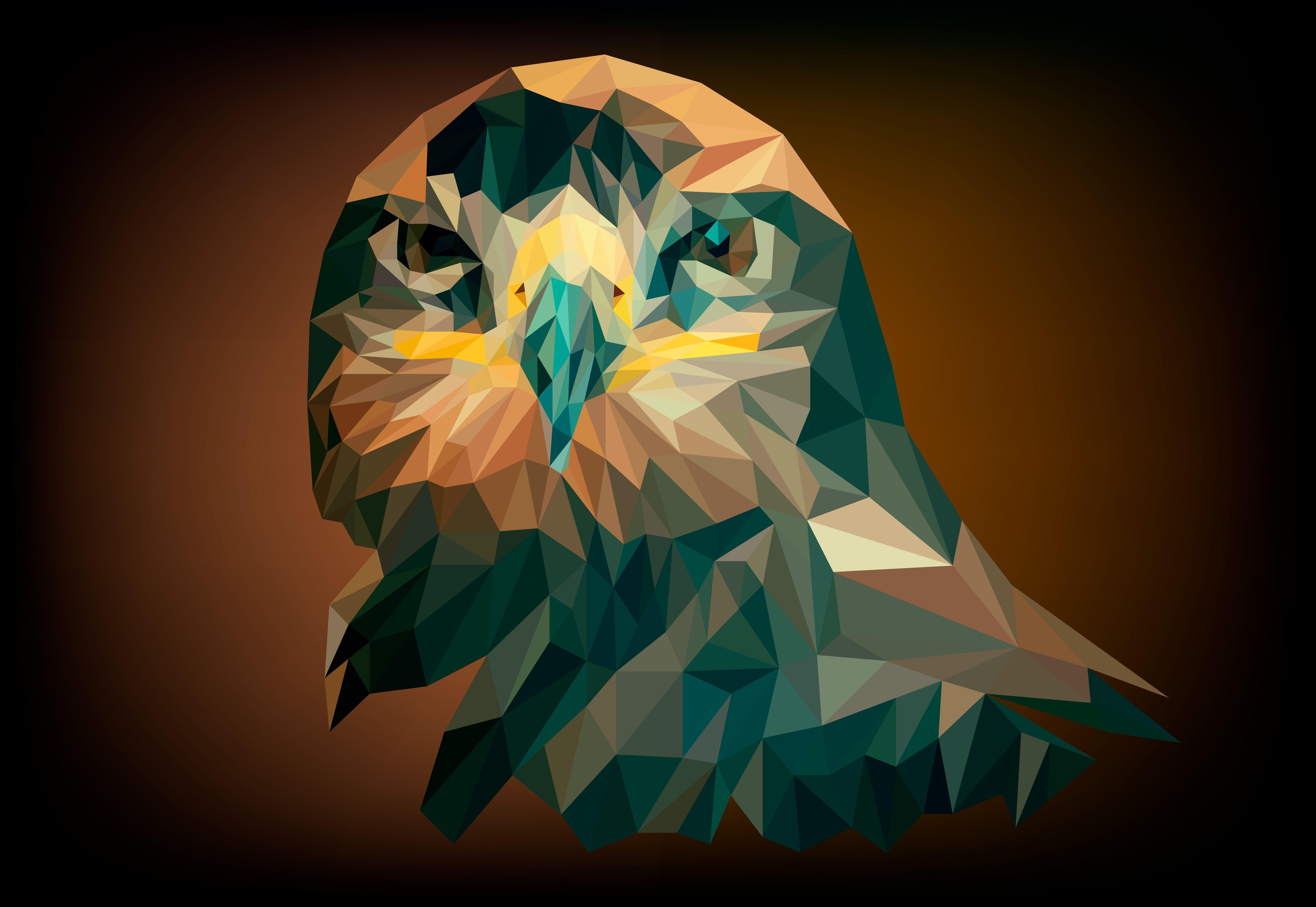 6400x4410 Download wallpaper 6400x4410 eagle, bird, geometric, art HD