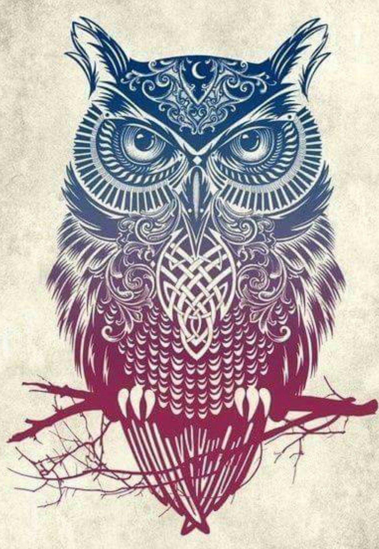 Geometric Owl Wallpapers Top Free Geometric Owl Backgrounds