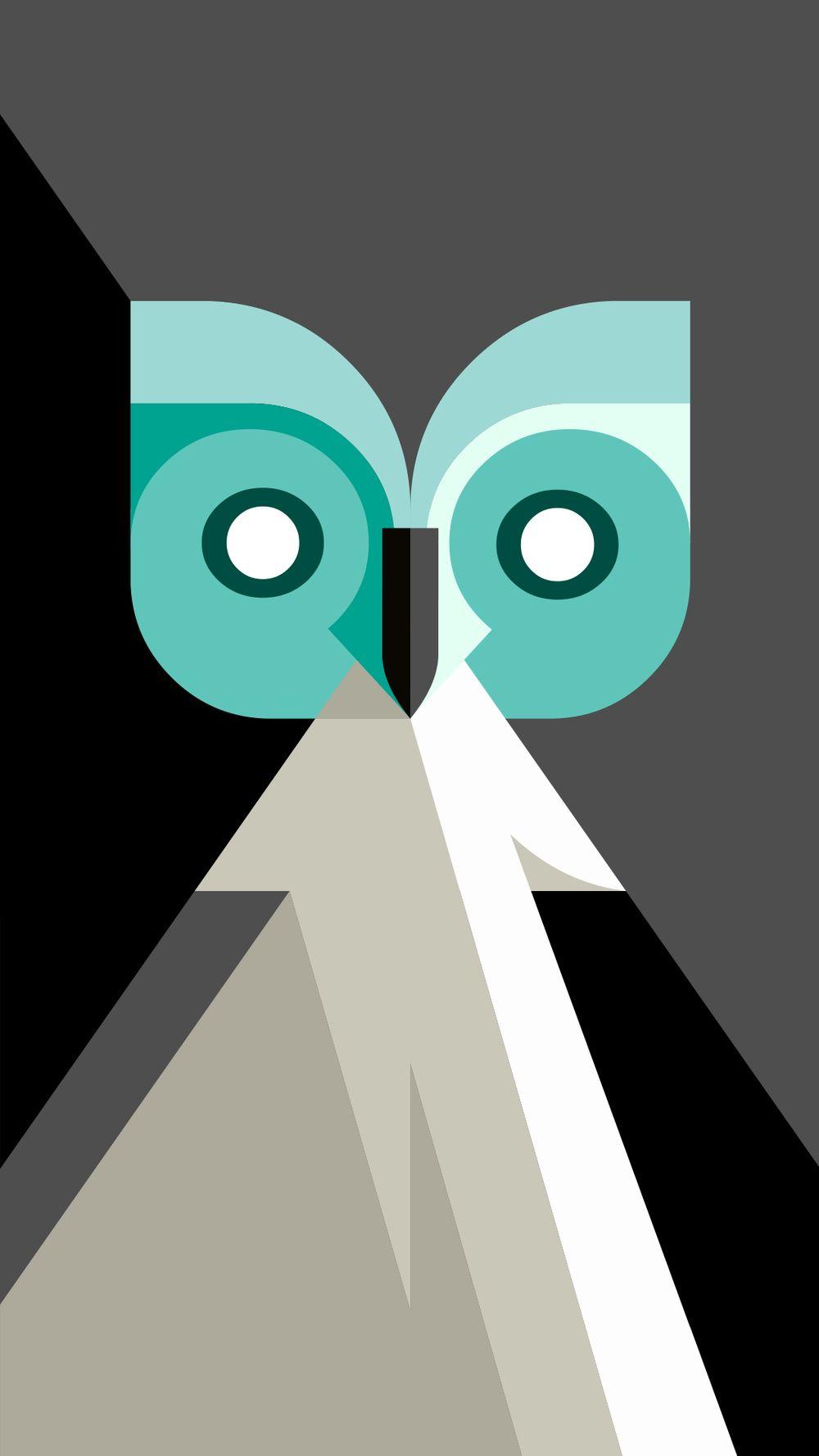 Owl Geometric Wallpapers Top Free Owl Geometric Backgrounds WallpaperAccess