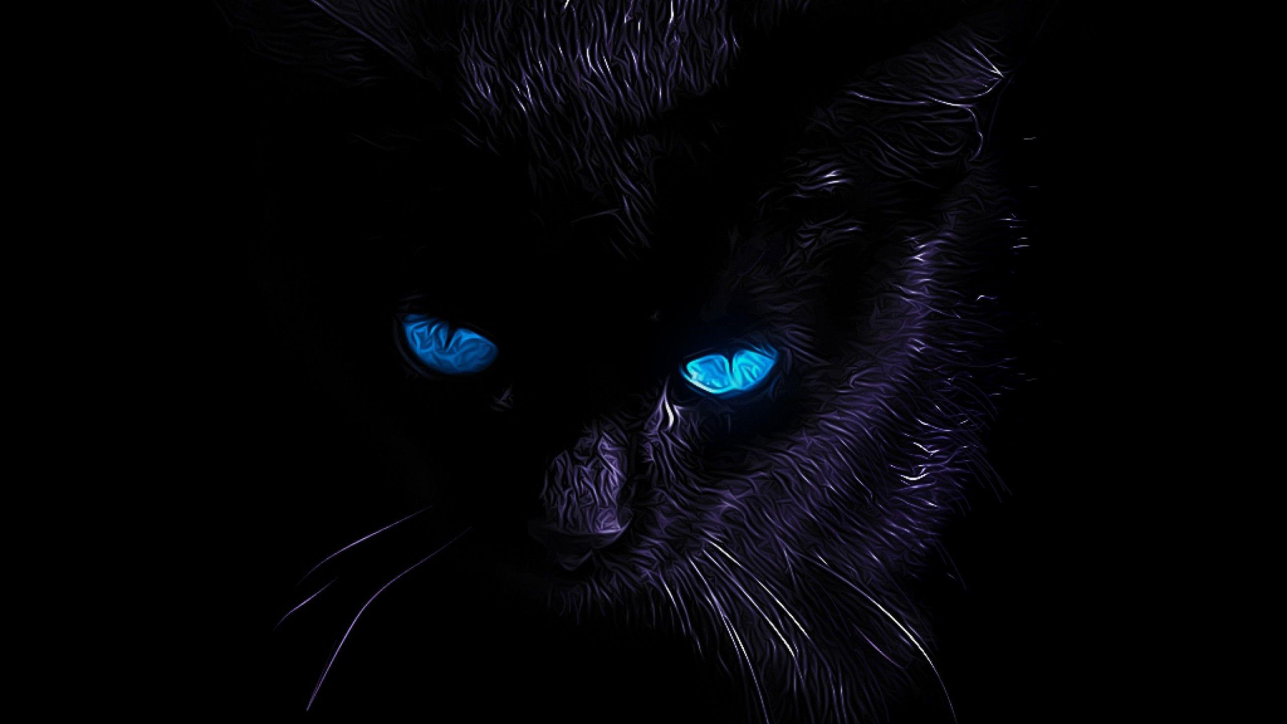 2560x1440 Black Cat HD Wallpaper
