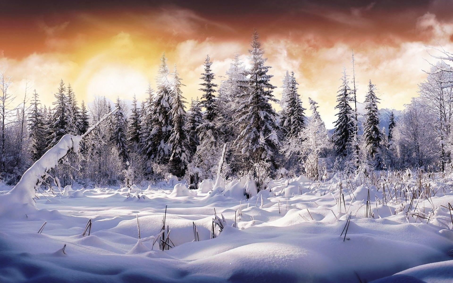 1920x1200 Snow HD Wallpaper background picture
