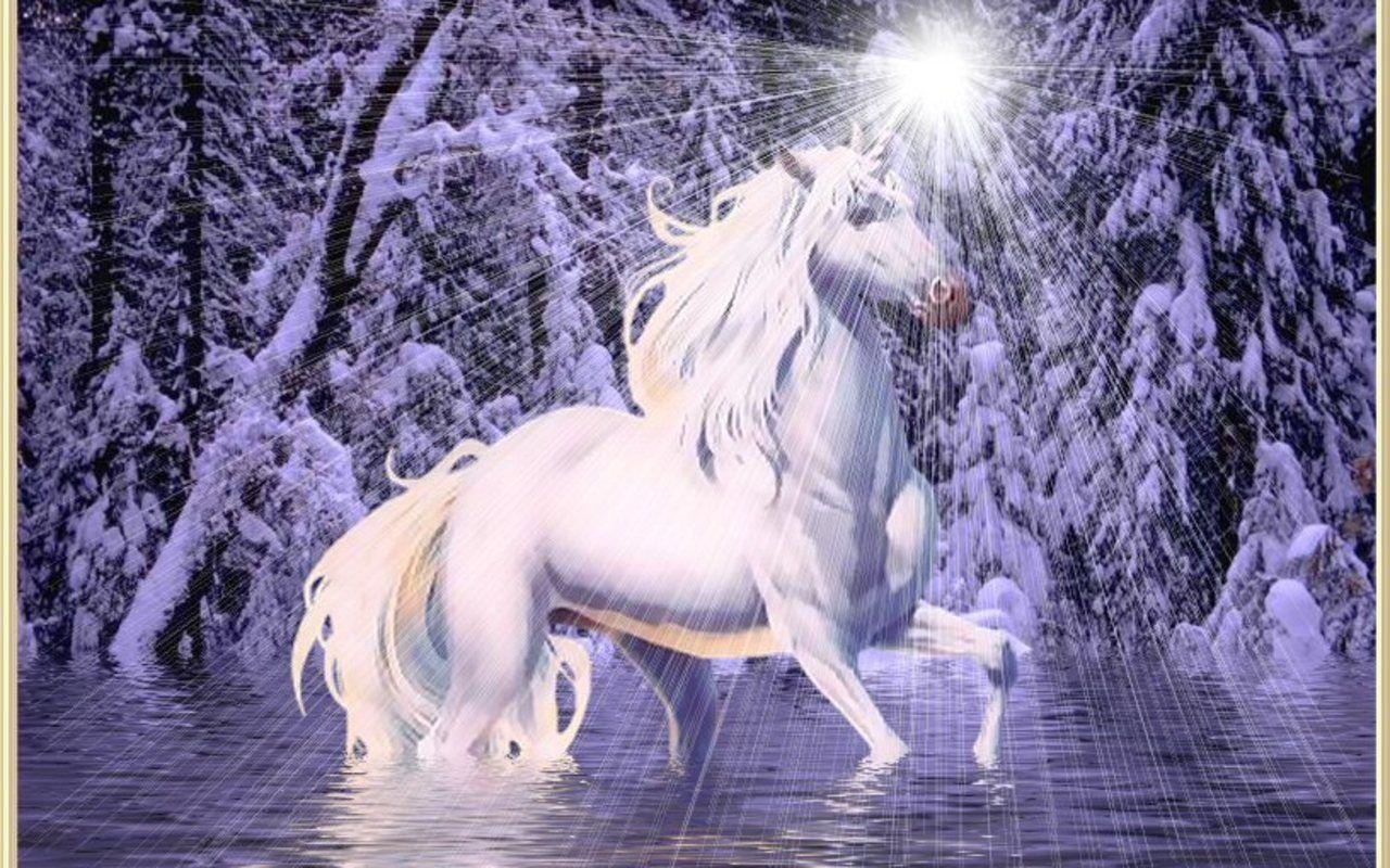 1280x800 Unicorn and Fairy Desktop Wallpaper