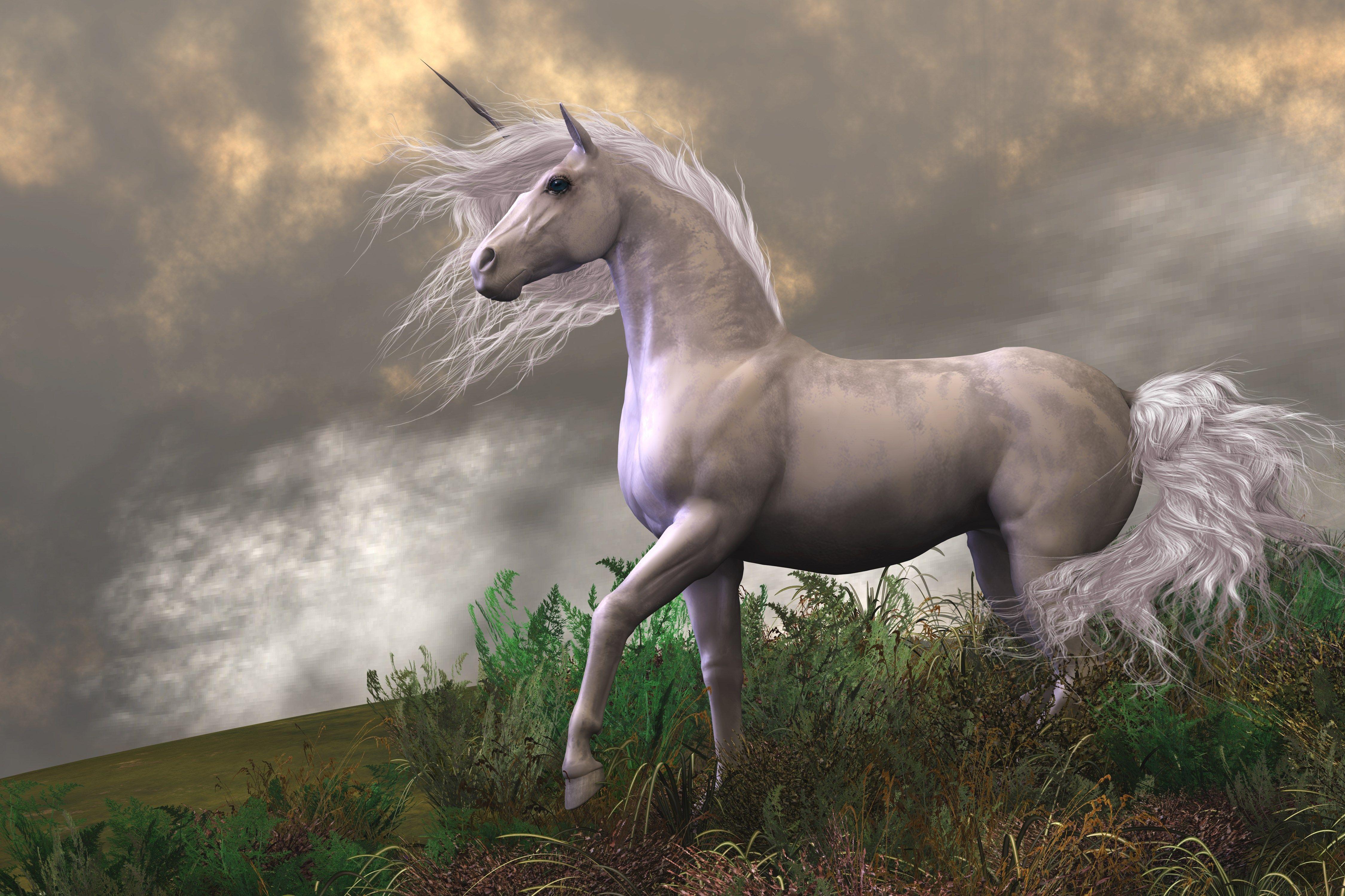 Realistic Unicorn Wallpapers - Top Free Realistic Unicorn Backgrounds