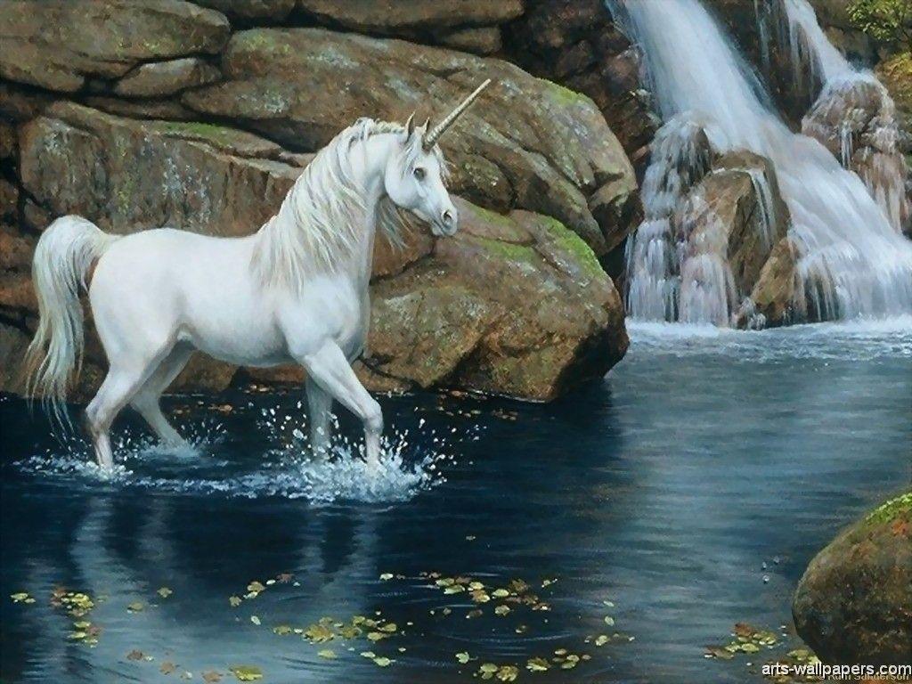 Realistic Unicorn Wallpapers - Top Free Realistic Unicorn Backgrounds