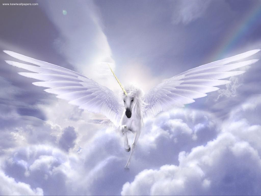 1024x768 Real Fly Wallpaper. Surreal