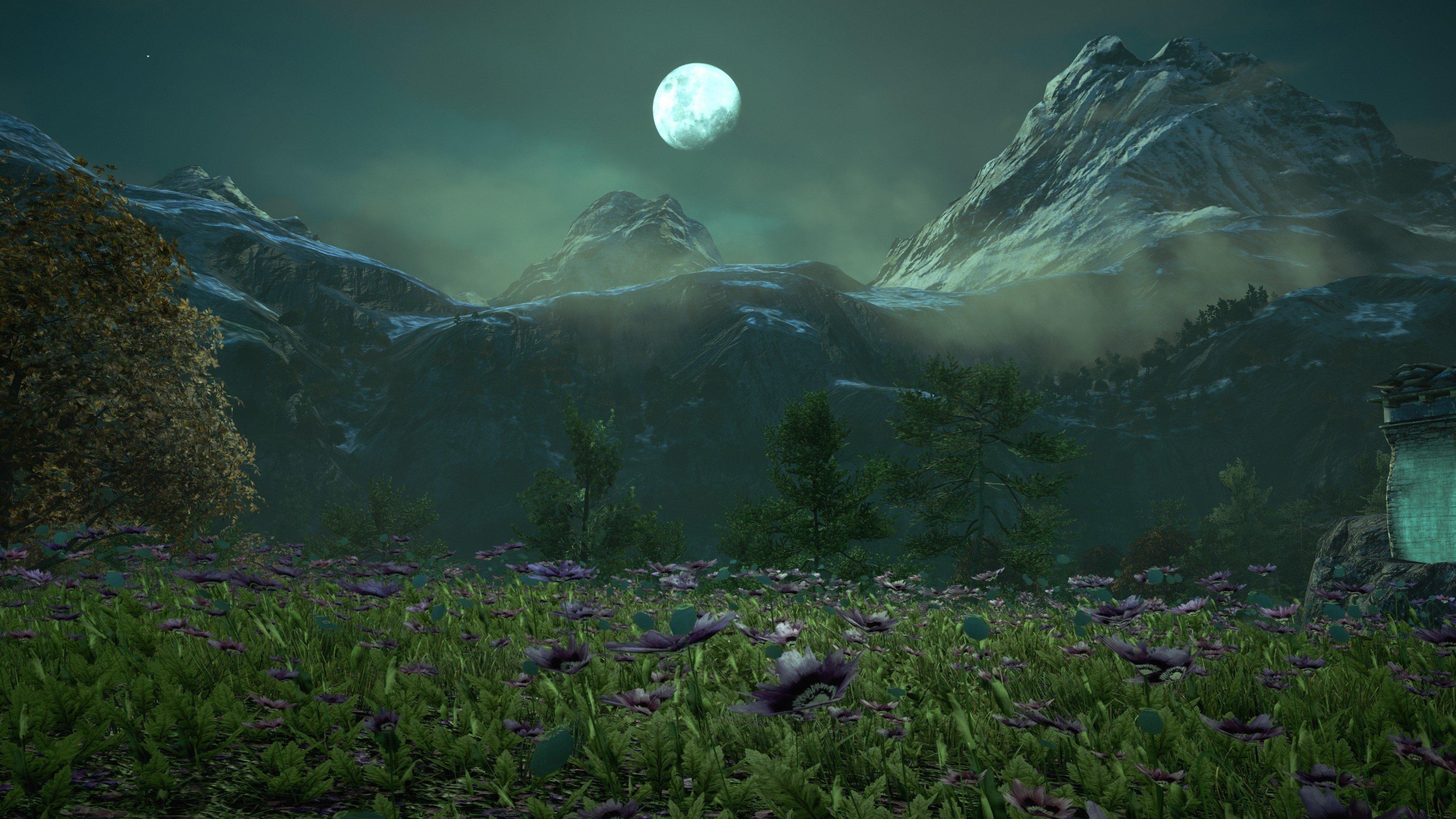 3840x2160 Far Cry 4 Wallpaper 4k Cry 5 Flower, HD Wallpaper