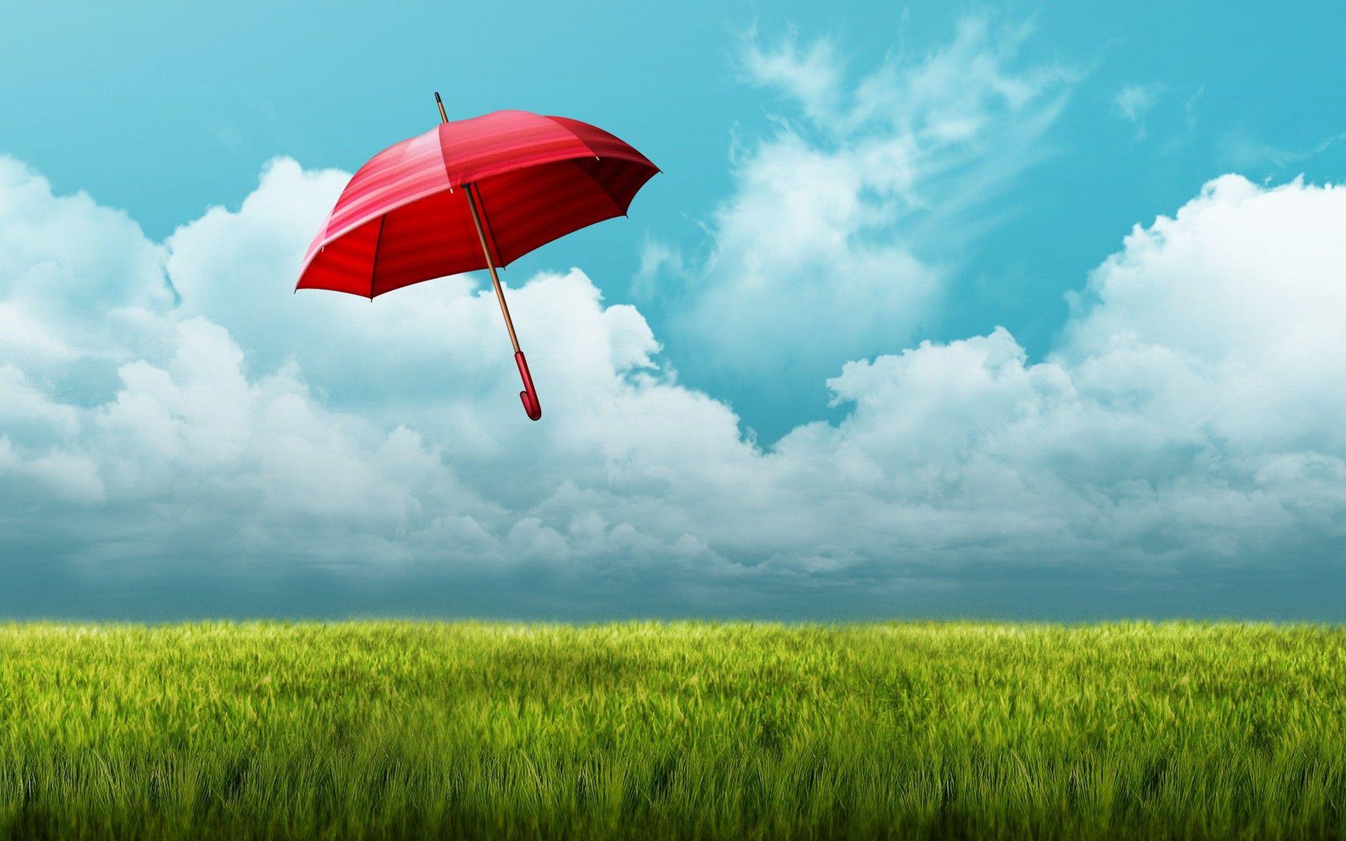 1920x1200 Umbrella Fields, HD Nature, 4k Wallpaper, Image, Background
