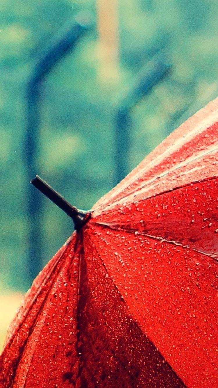 Umbrella Wallpapers Top Free Umbrella Backgrounds WallpaperAccess