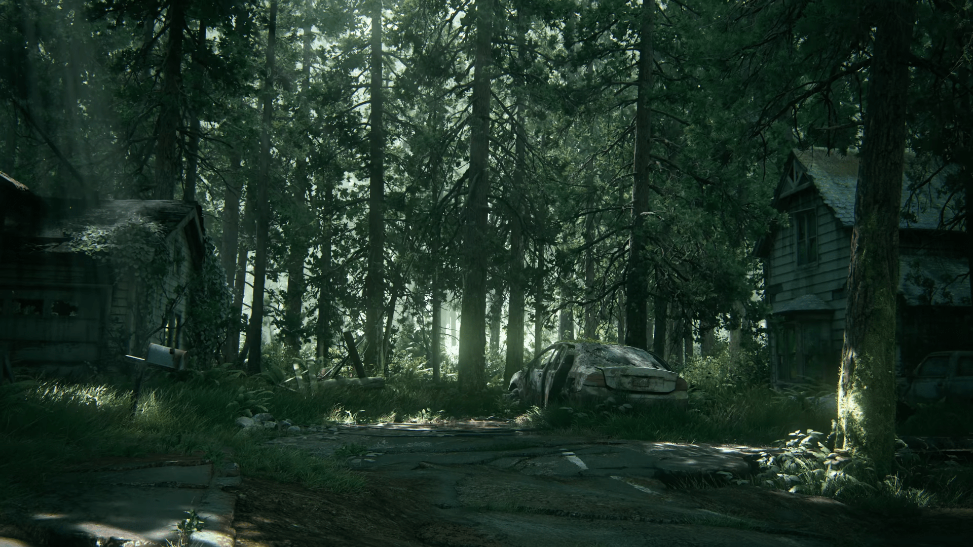 1920x1080 The Last of Us Part II HD Wallpaper