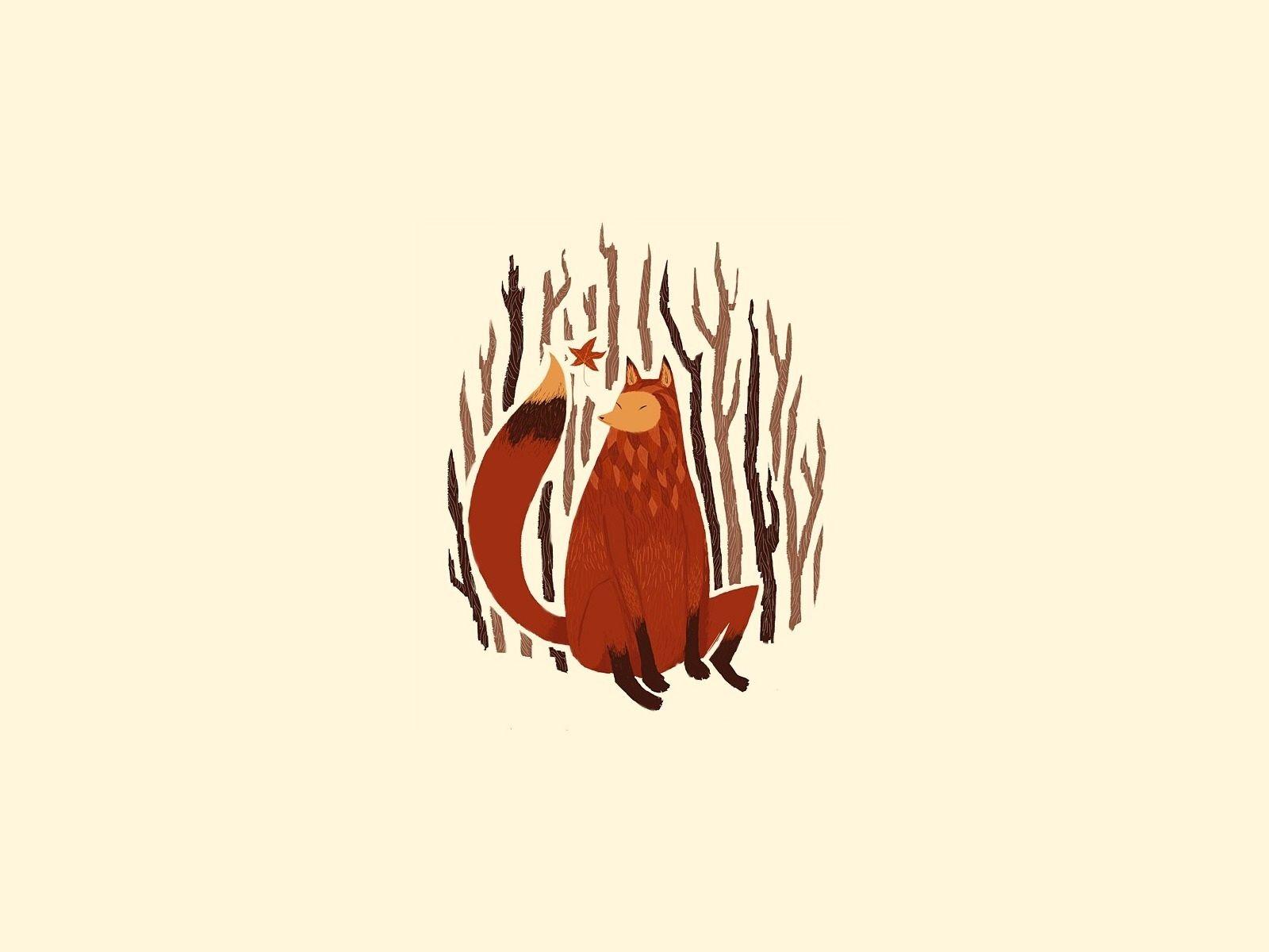 Minimalist Fox Wallpapers - Top Free Minimalist Fox Backgrounds